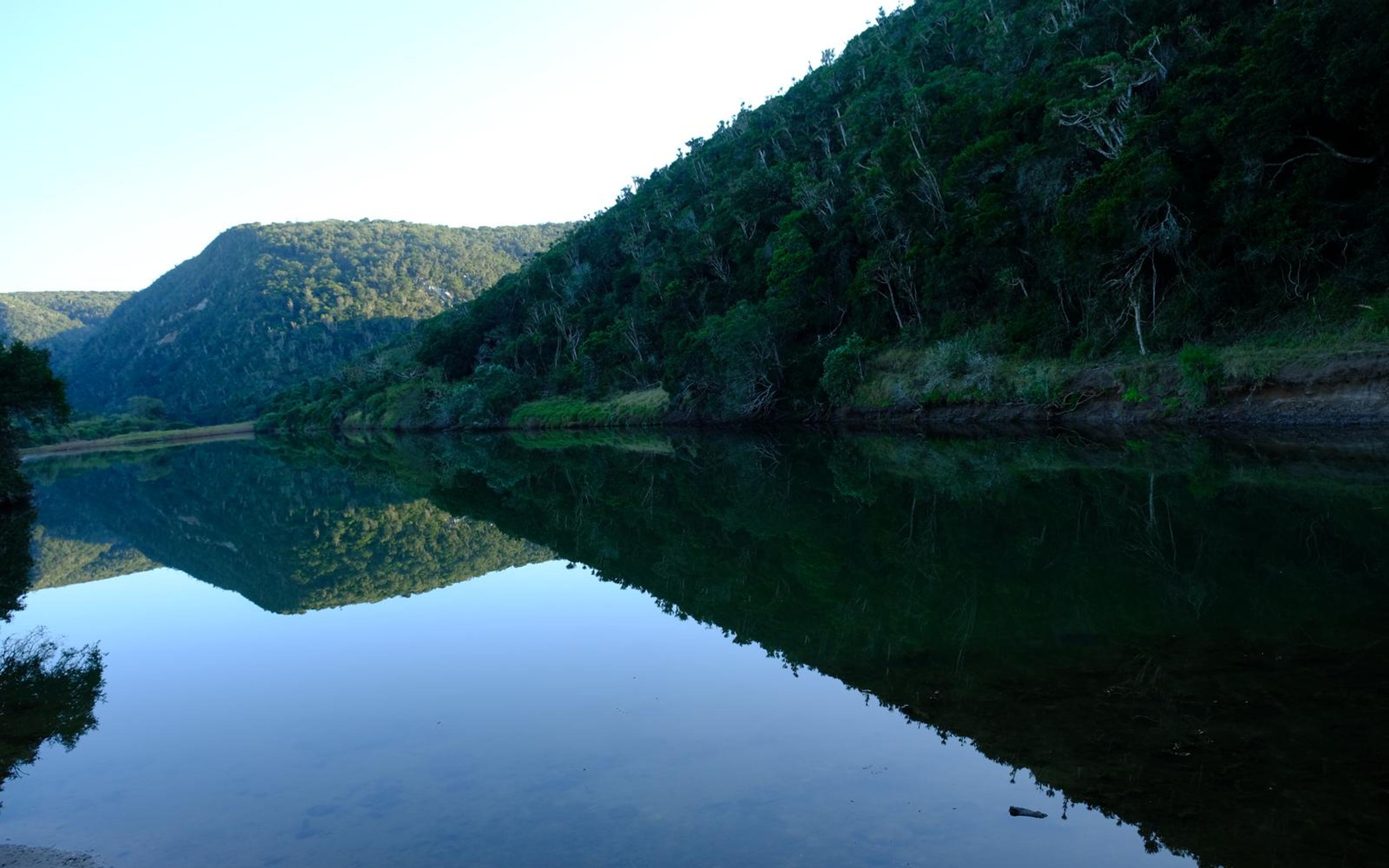 Wide view of a wooded ridge doubled in the calm water below