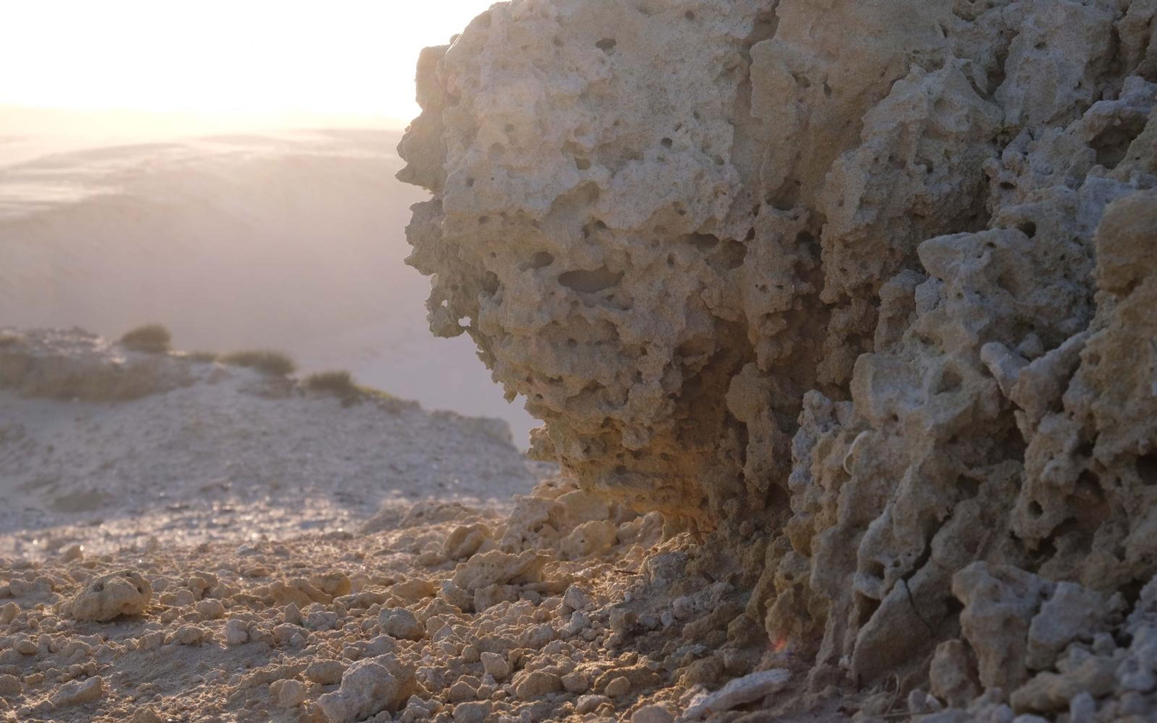 Pitted limestone rock face with sandy dunes soft in the background