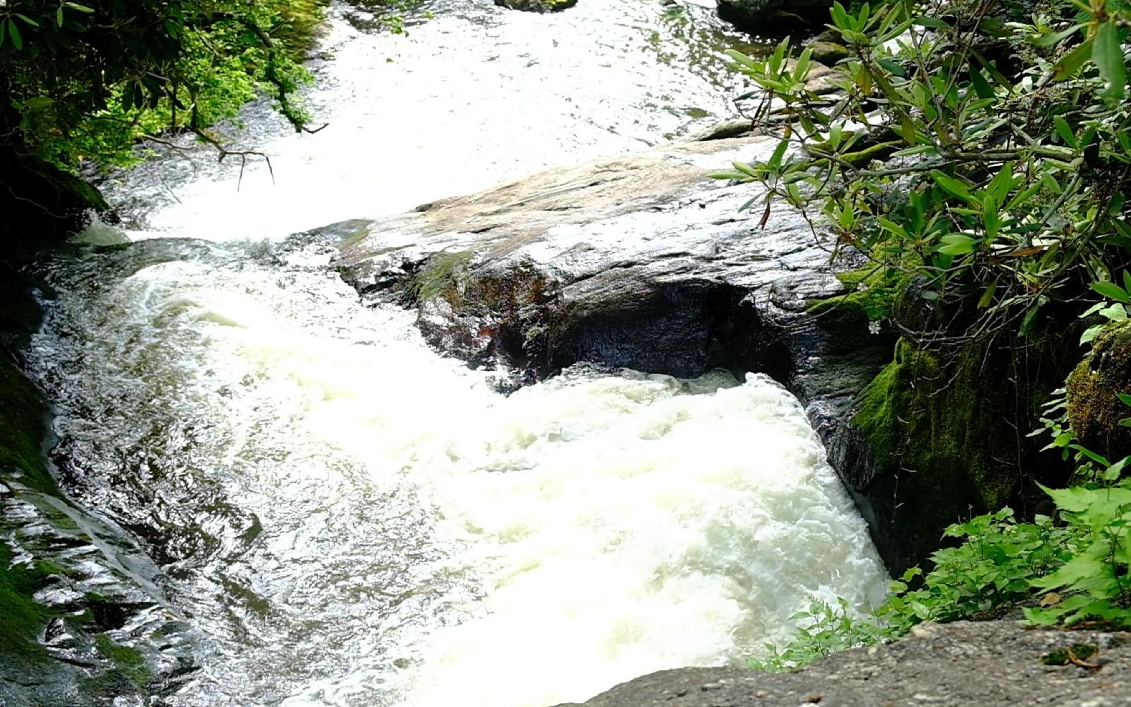 Upper cascade curving over rocks into a narrow channel with green shrubs on the bank