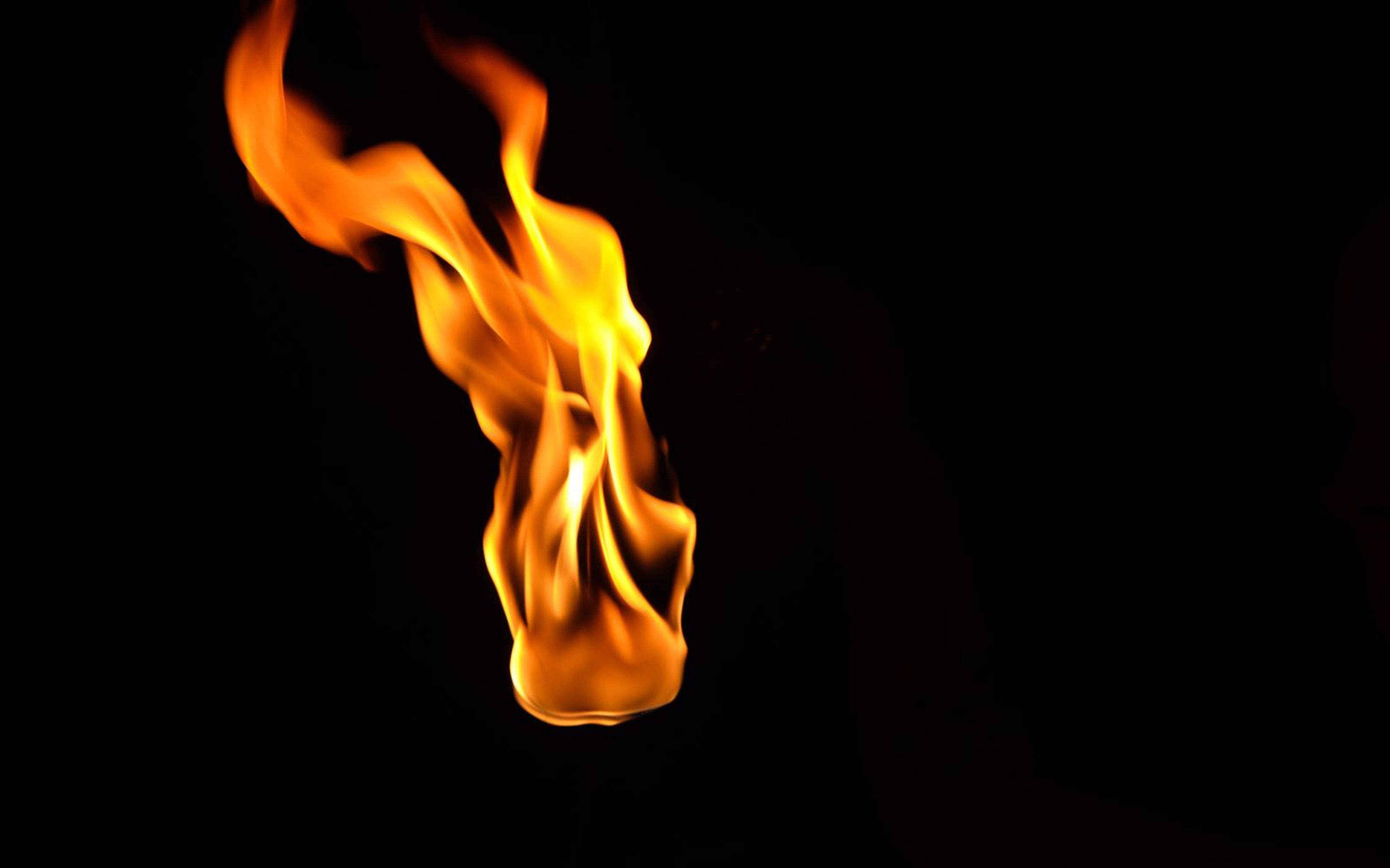 Tall slender flame leaning left with a curved tip at the top left