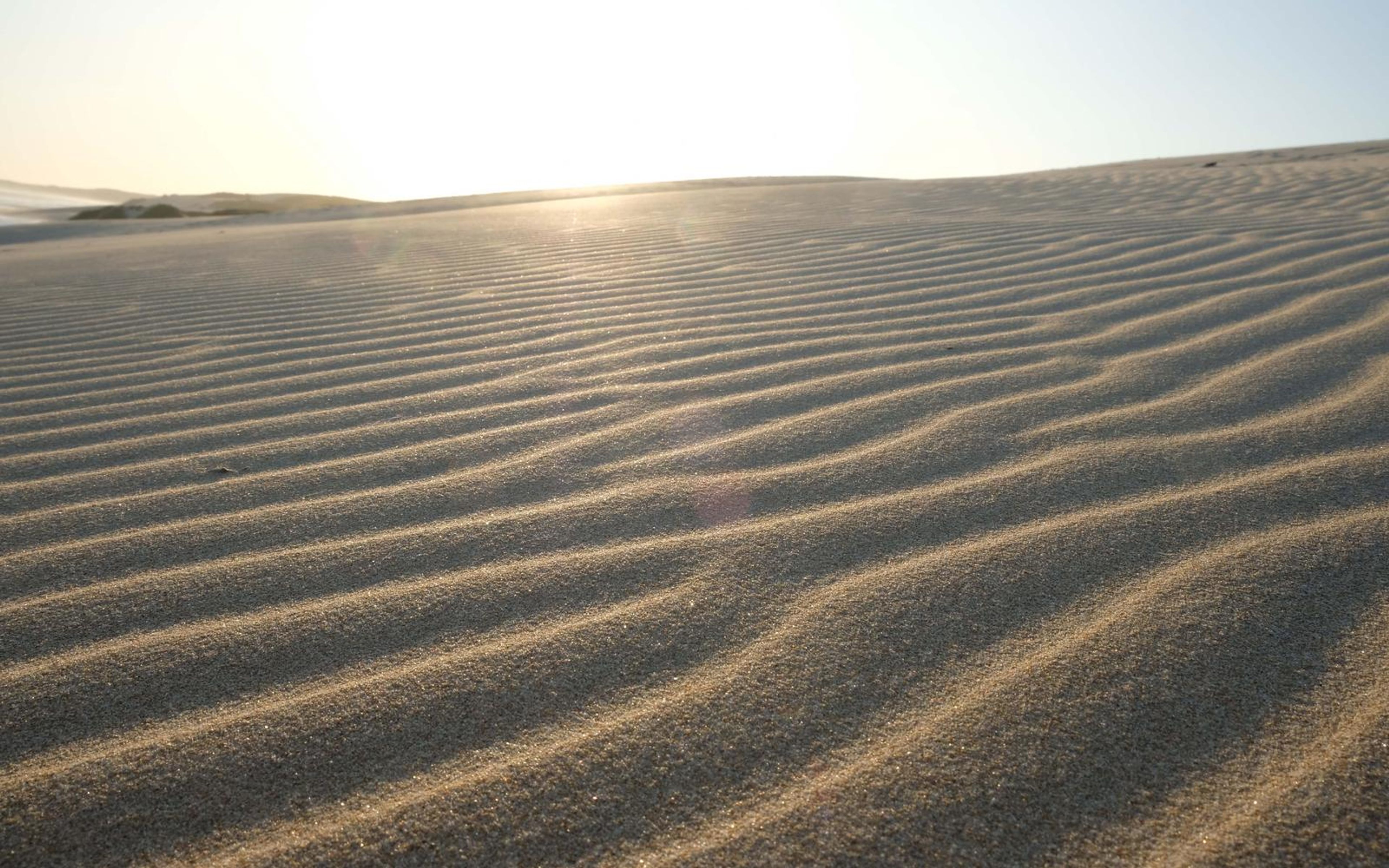 Rows of low sand ripples with the sun glinting over the dune crest