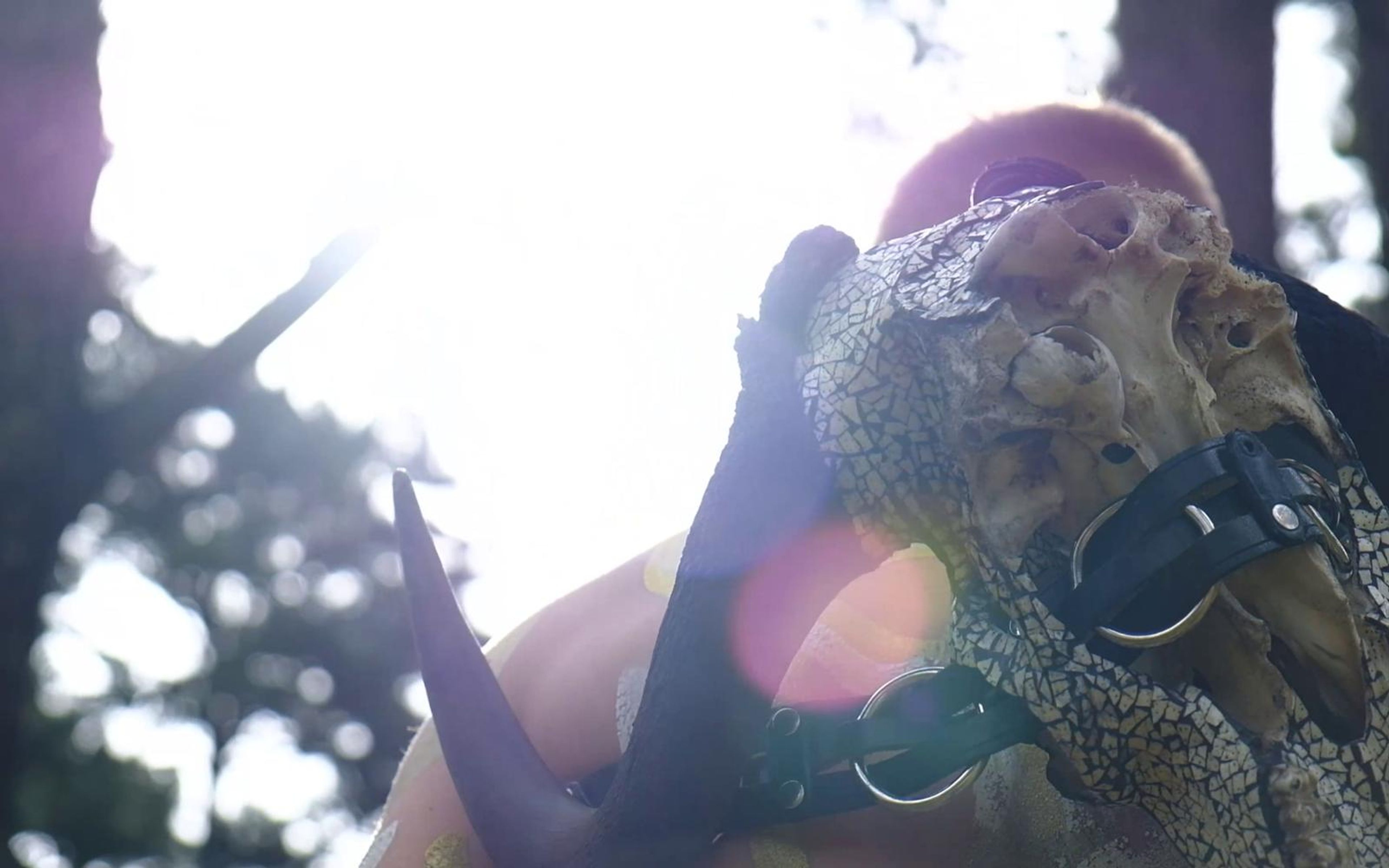 Performer behind the horned skull, backlit with purple lens flare