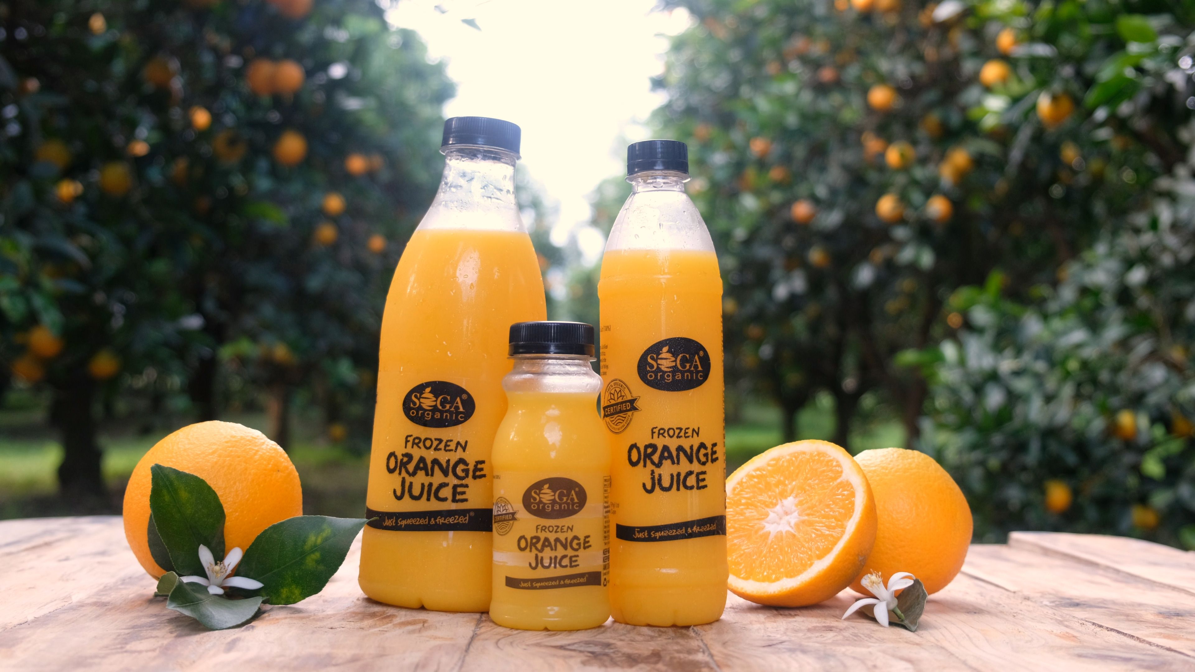 Frozen orange juice bottles in three sizes on an orchard table with whole and halved oranges