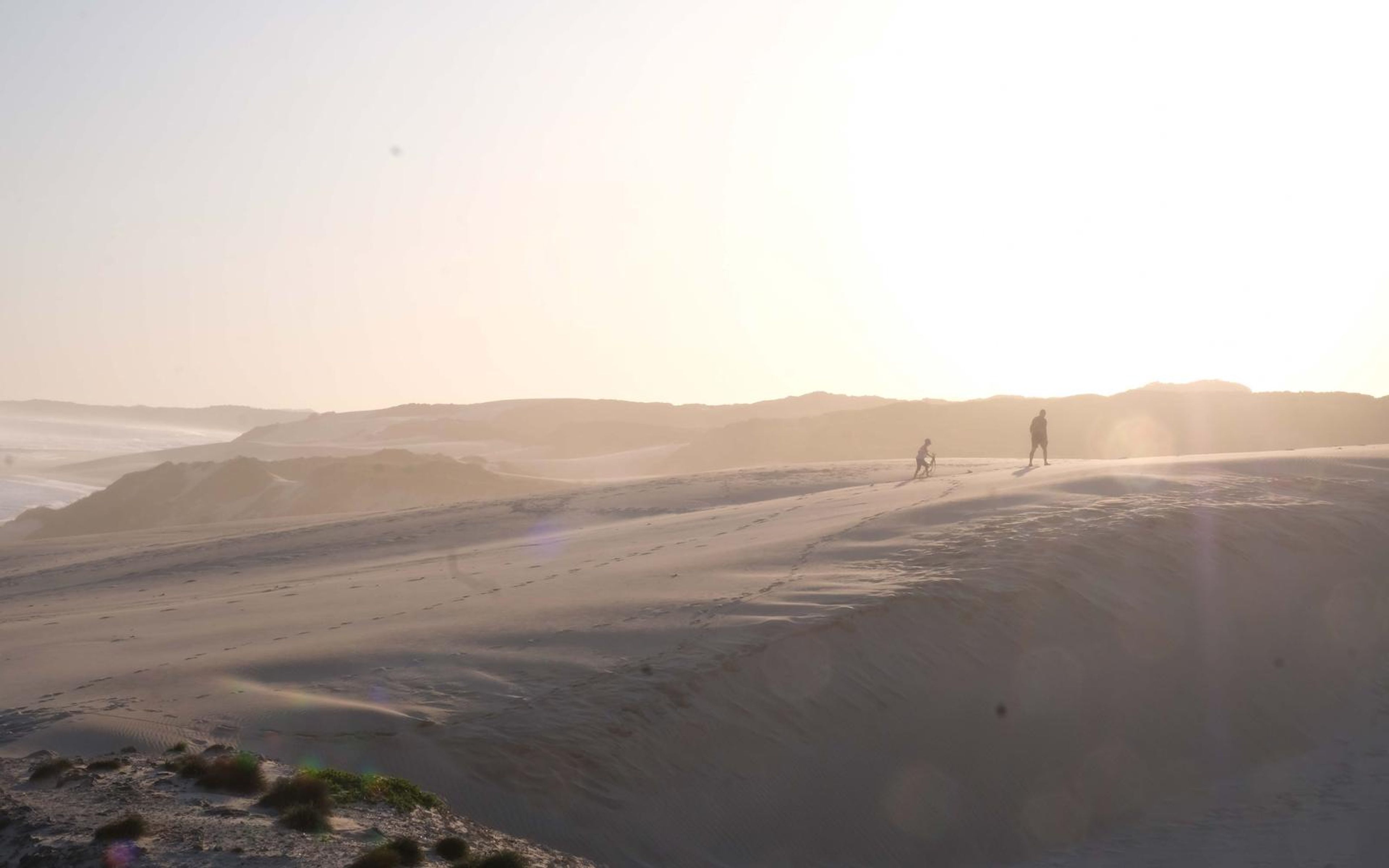 Two small figures walking across hazy dunes toward the sea in warm evening light
