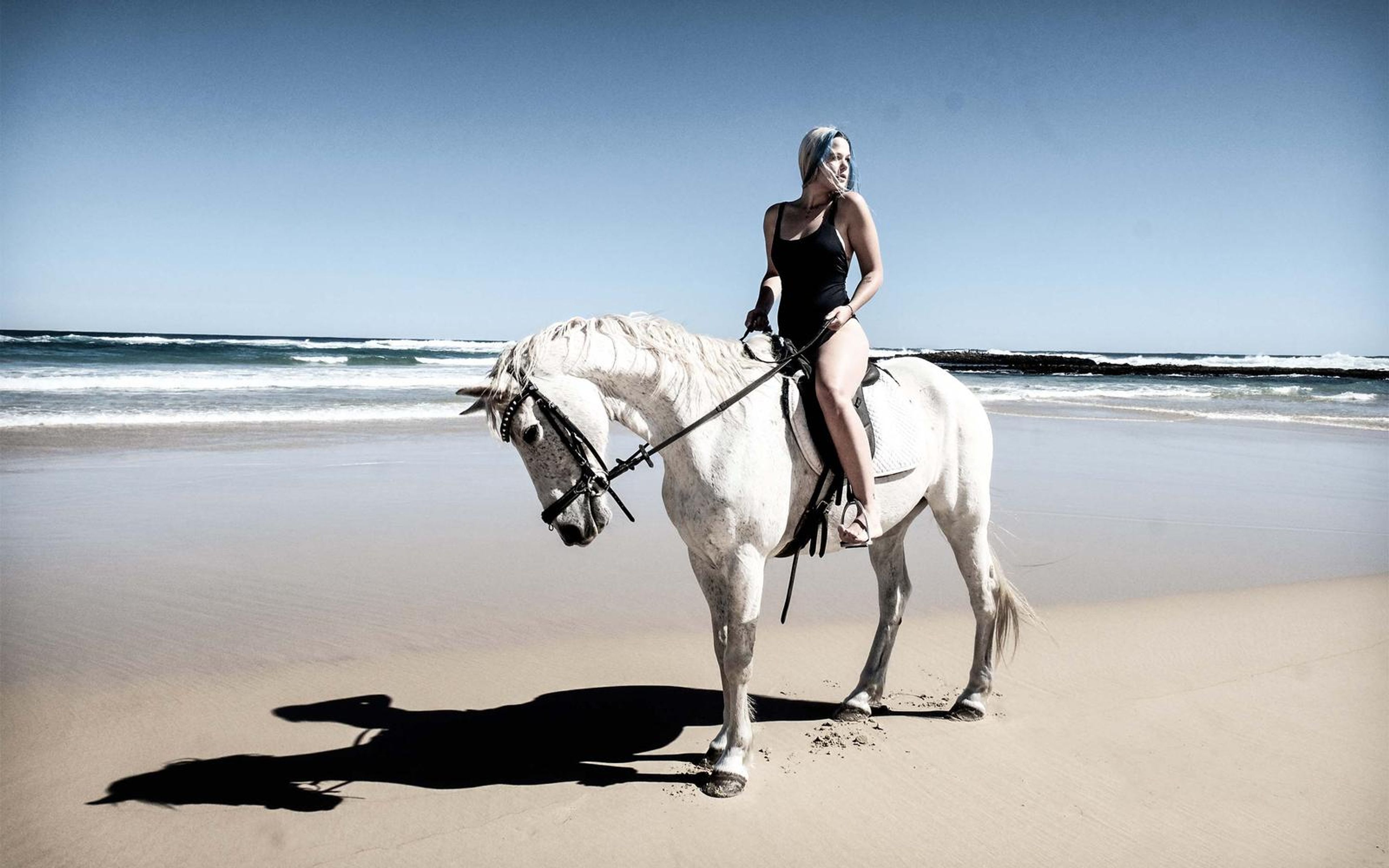 Cool-toned, vignetted image of a rider on a white horse standing at the surf line