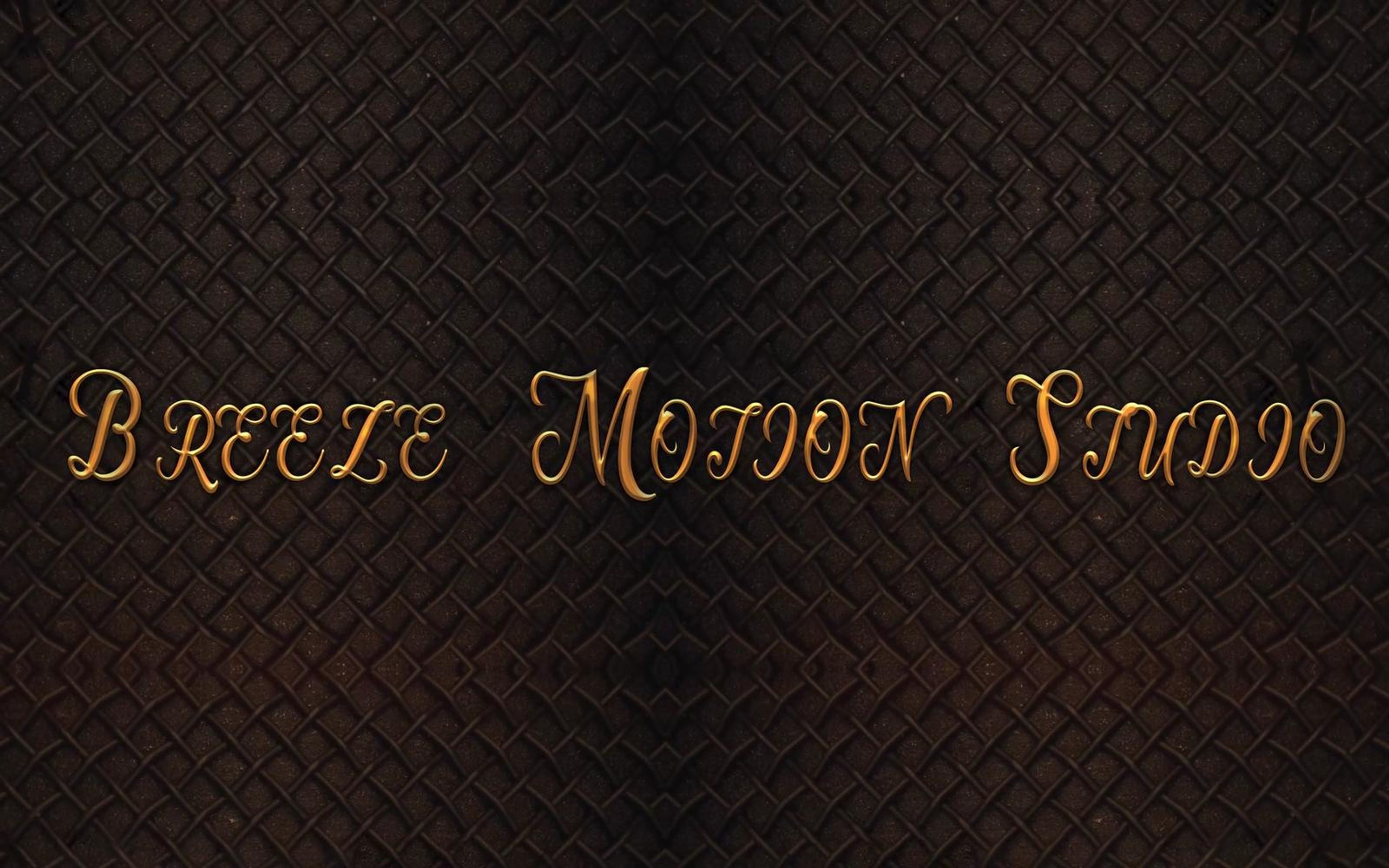 Gold script text reading Breeze Motion Studio on dark woven amplifier grille cloth