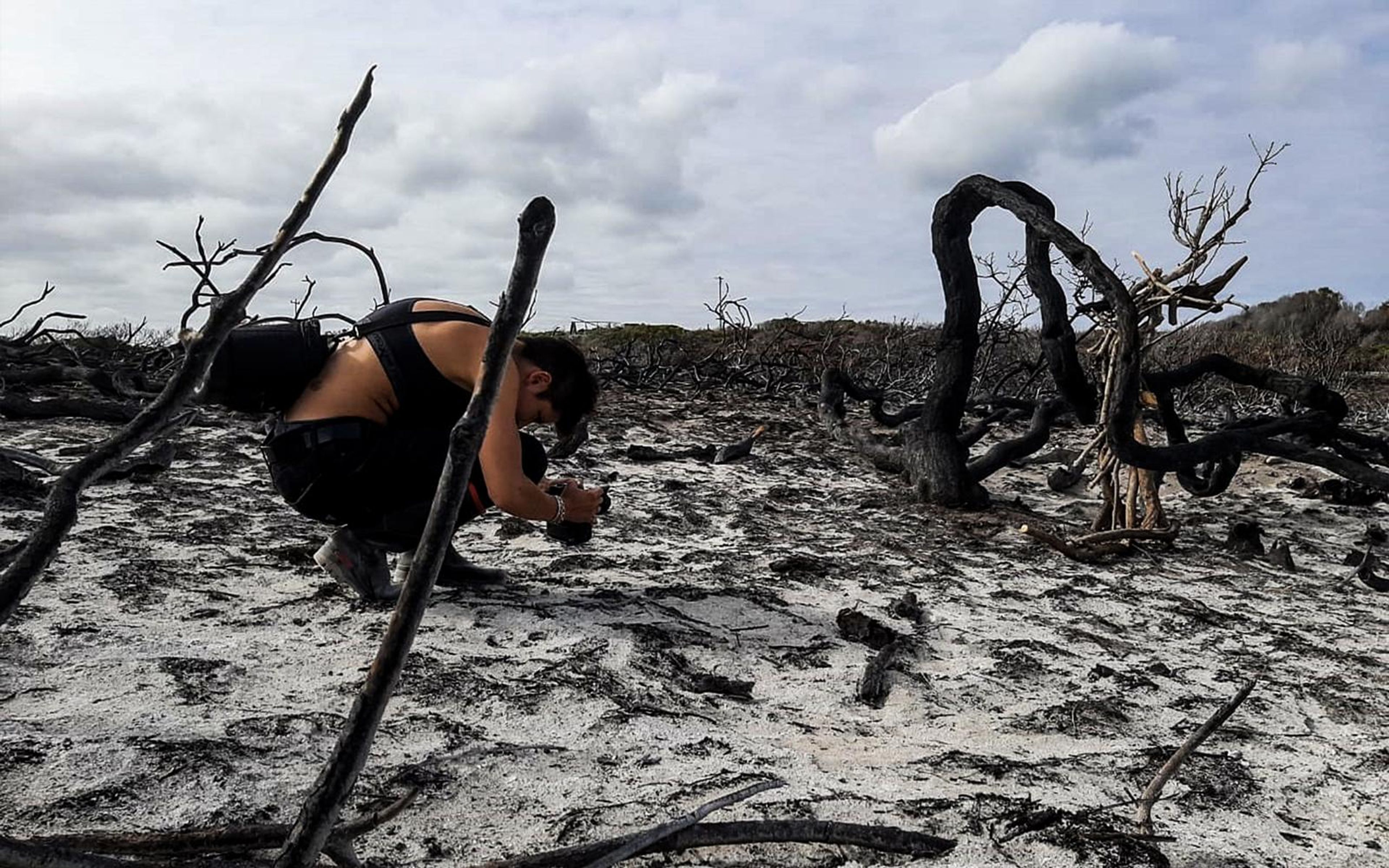 Person crouching low among black fallen branches on pale ash, aiming a camera at the ground