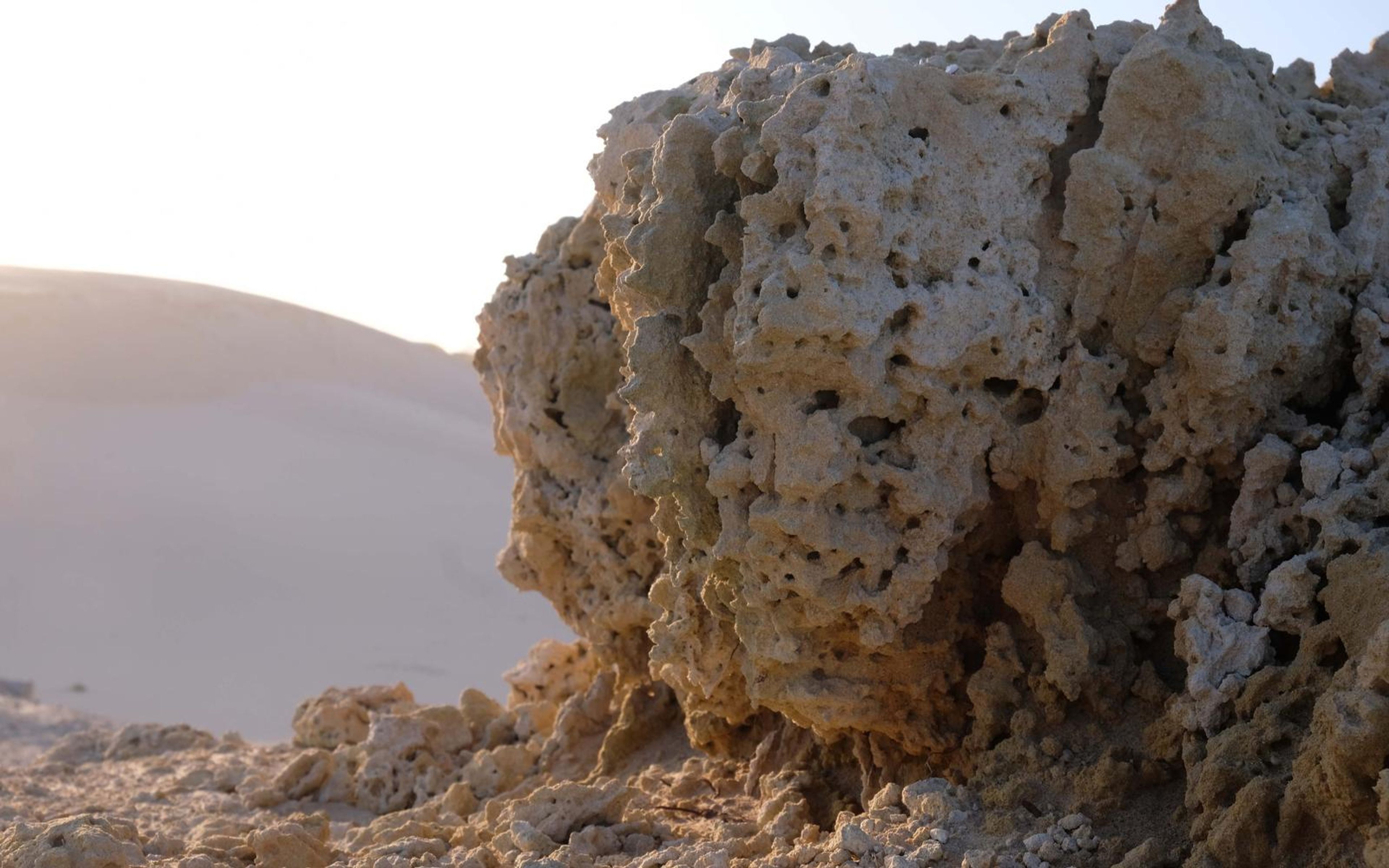Weathered limestone mass with deep holes and crevices lit from the side