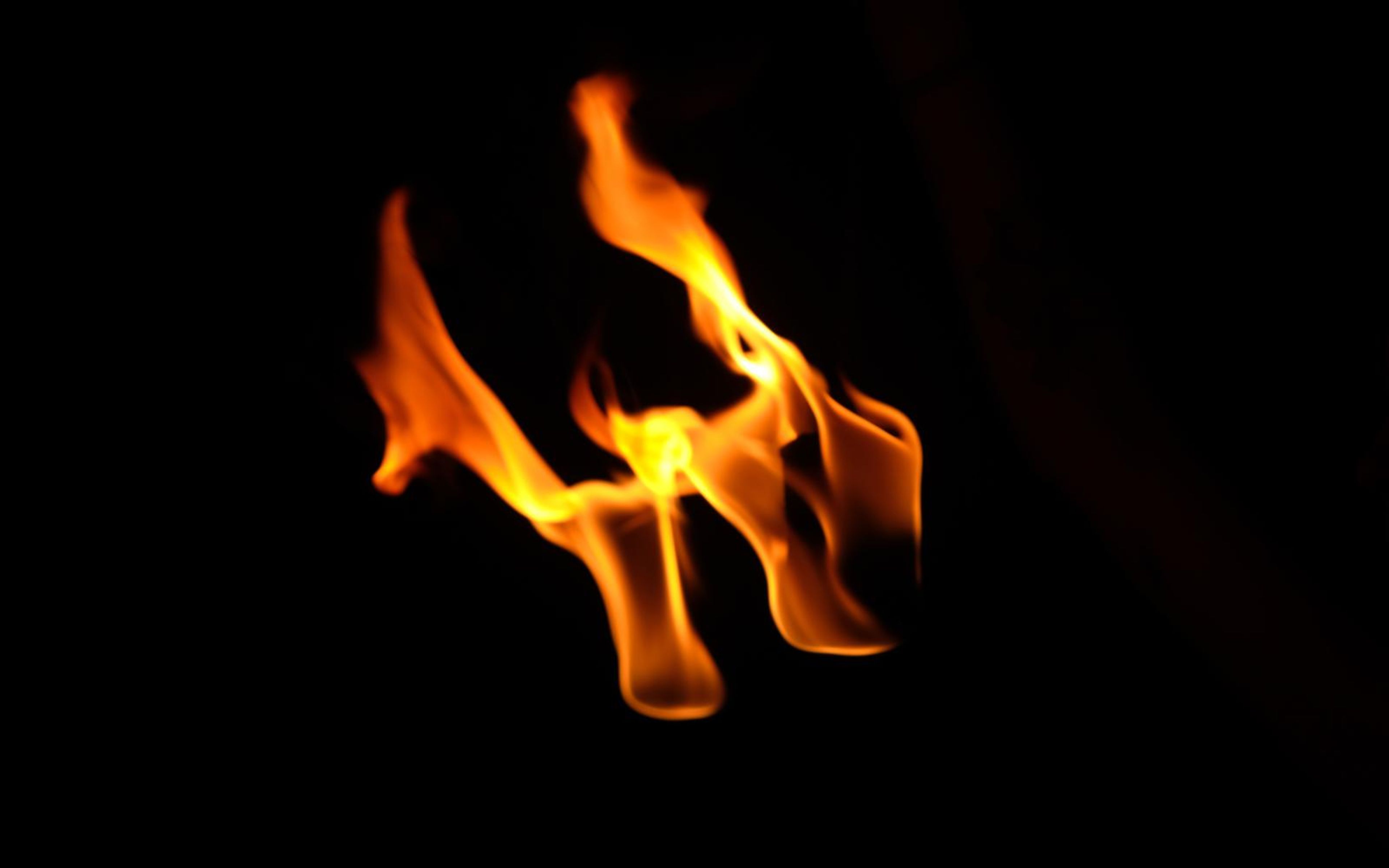 Flame cluster leaning left with a tall tongue rising above two bases