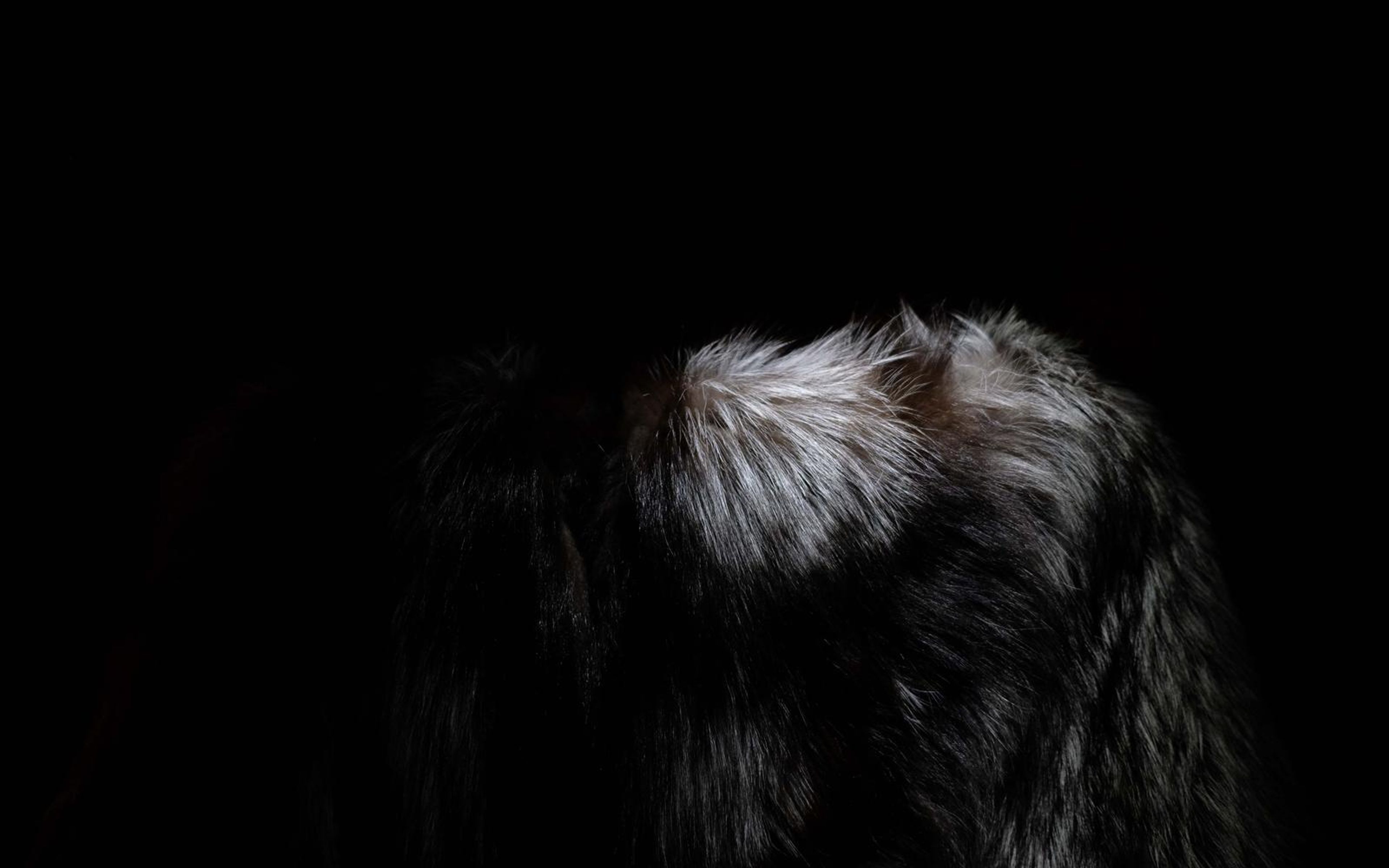 Silver-grey fur wrap catching light at the shoulder against a black background
