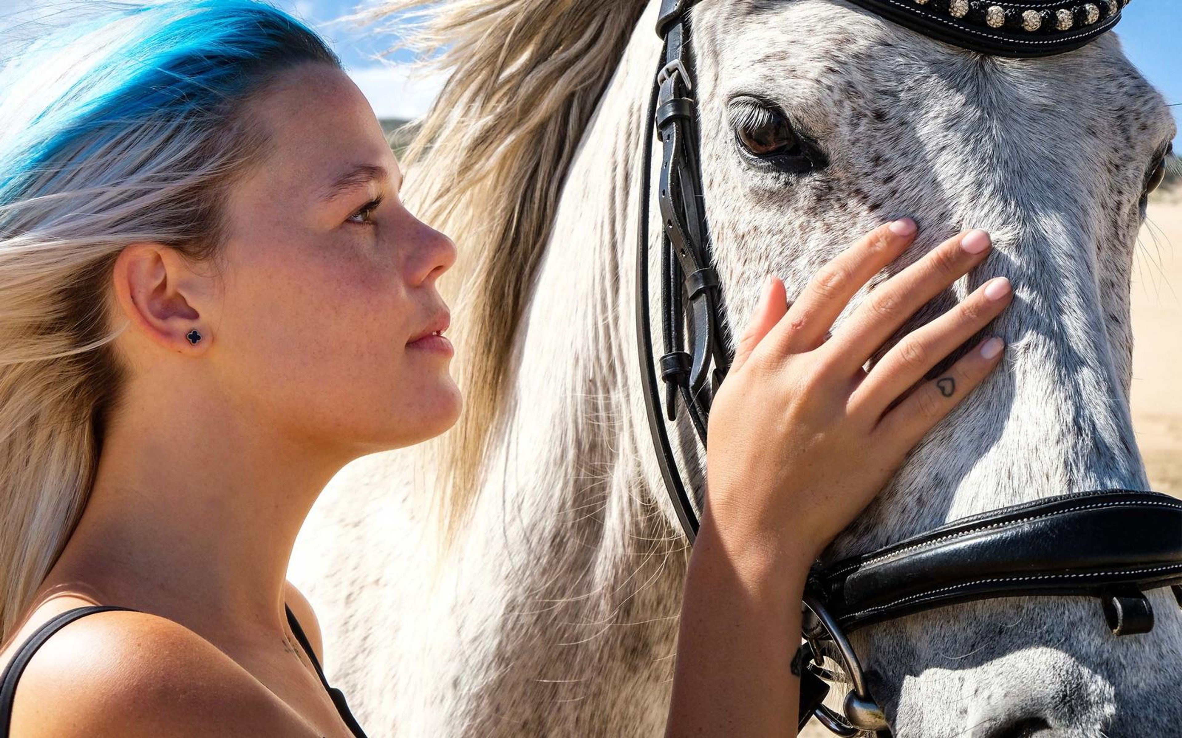 Profile of a woman with blue-streaked hair touching a horse's face, bright warm edit
