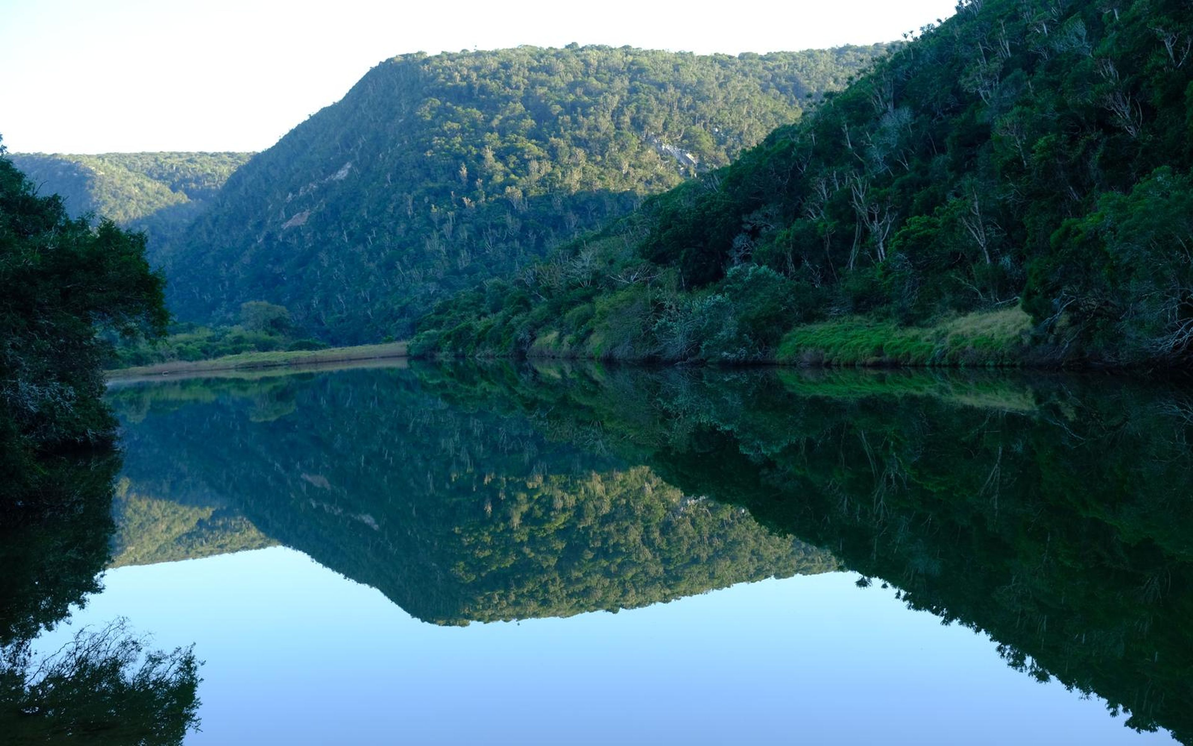 Dark green hillside and its reflection in still water with a branch at the left