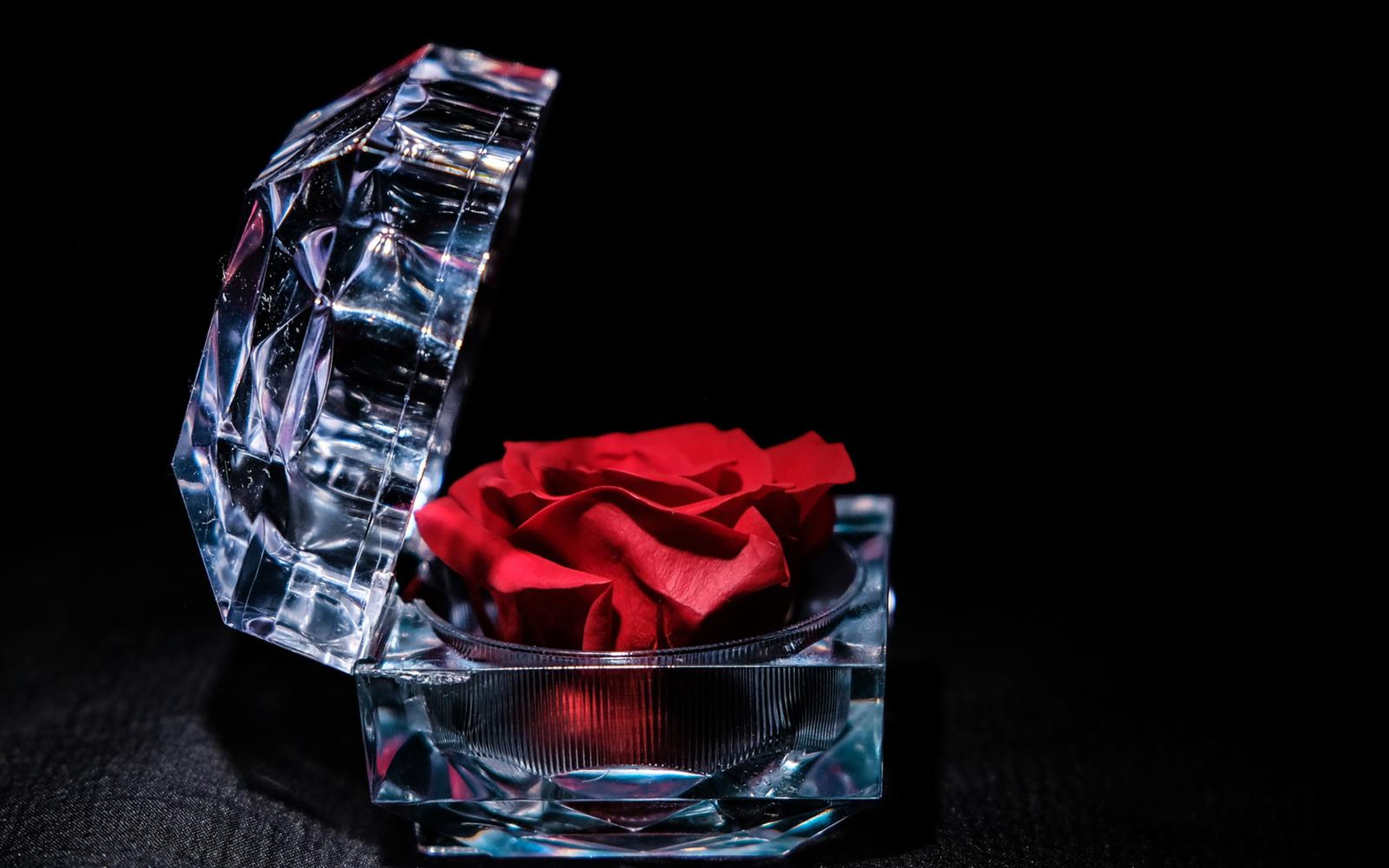 Open faceted clear case holding a red rose with its edges glowing cool blue against black