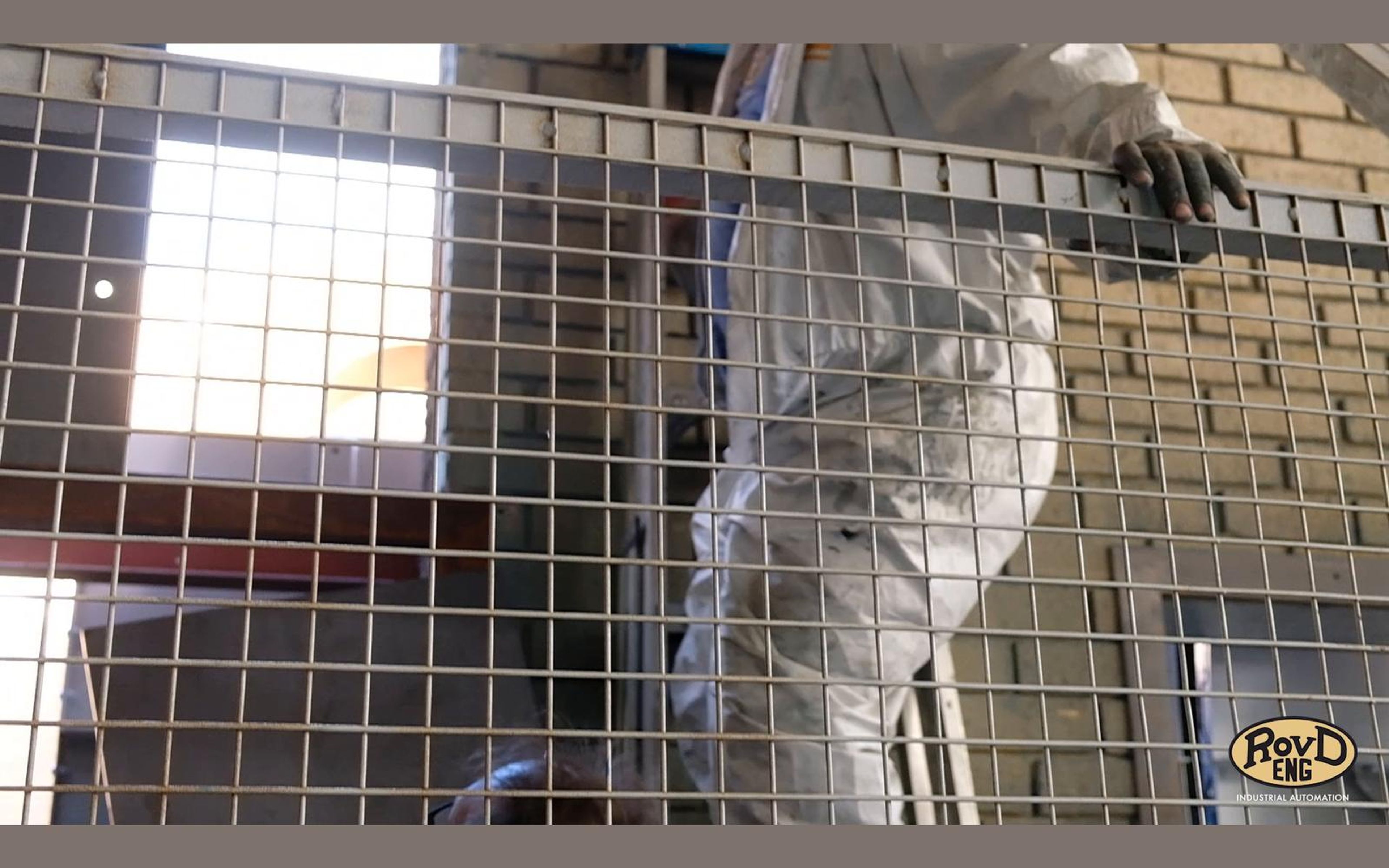Worker on a ladder behind a mesh guard
