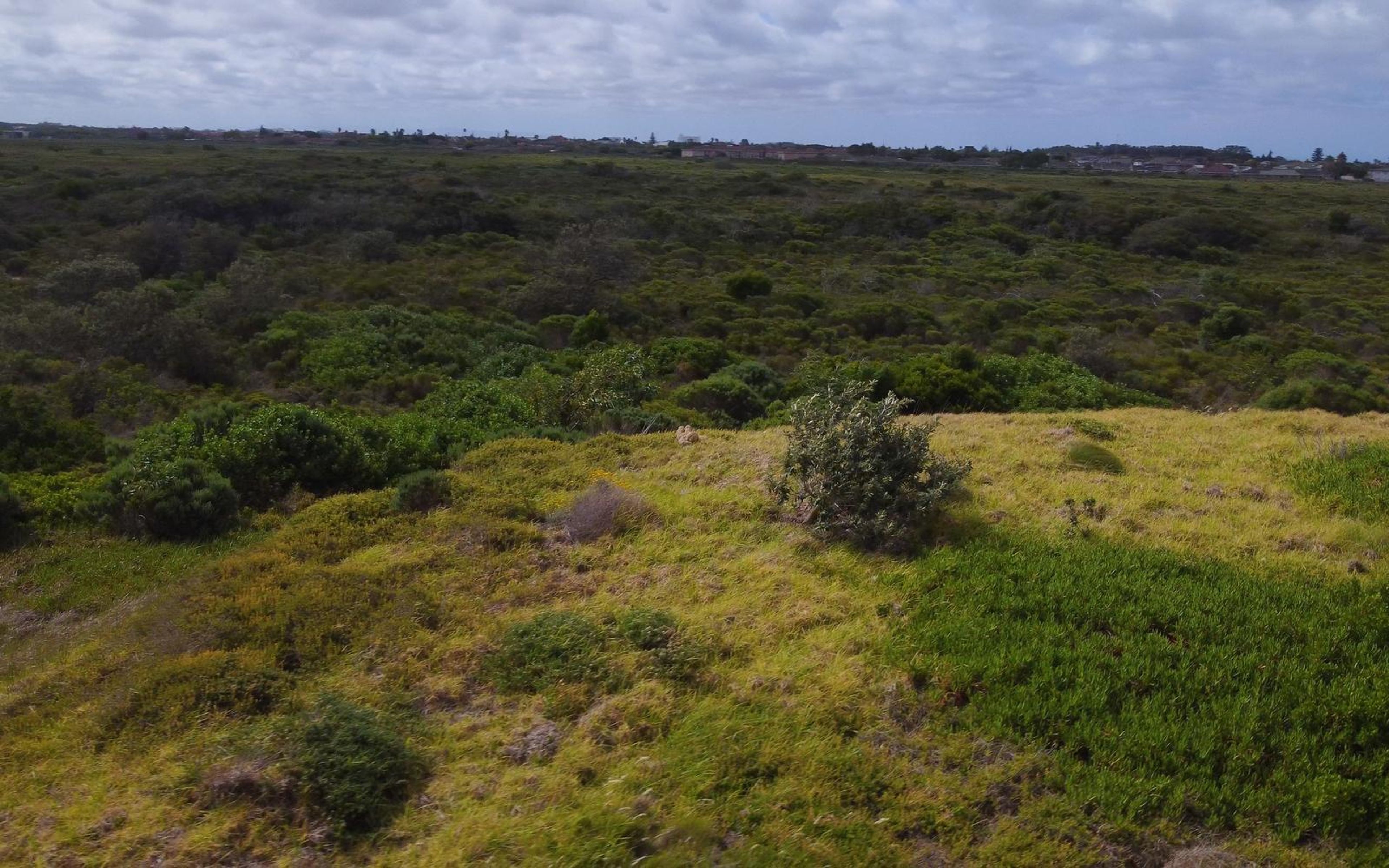 Green hills and shrubland under a streaked sky seen from above