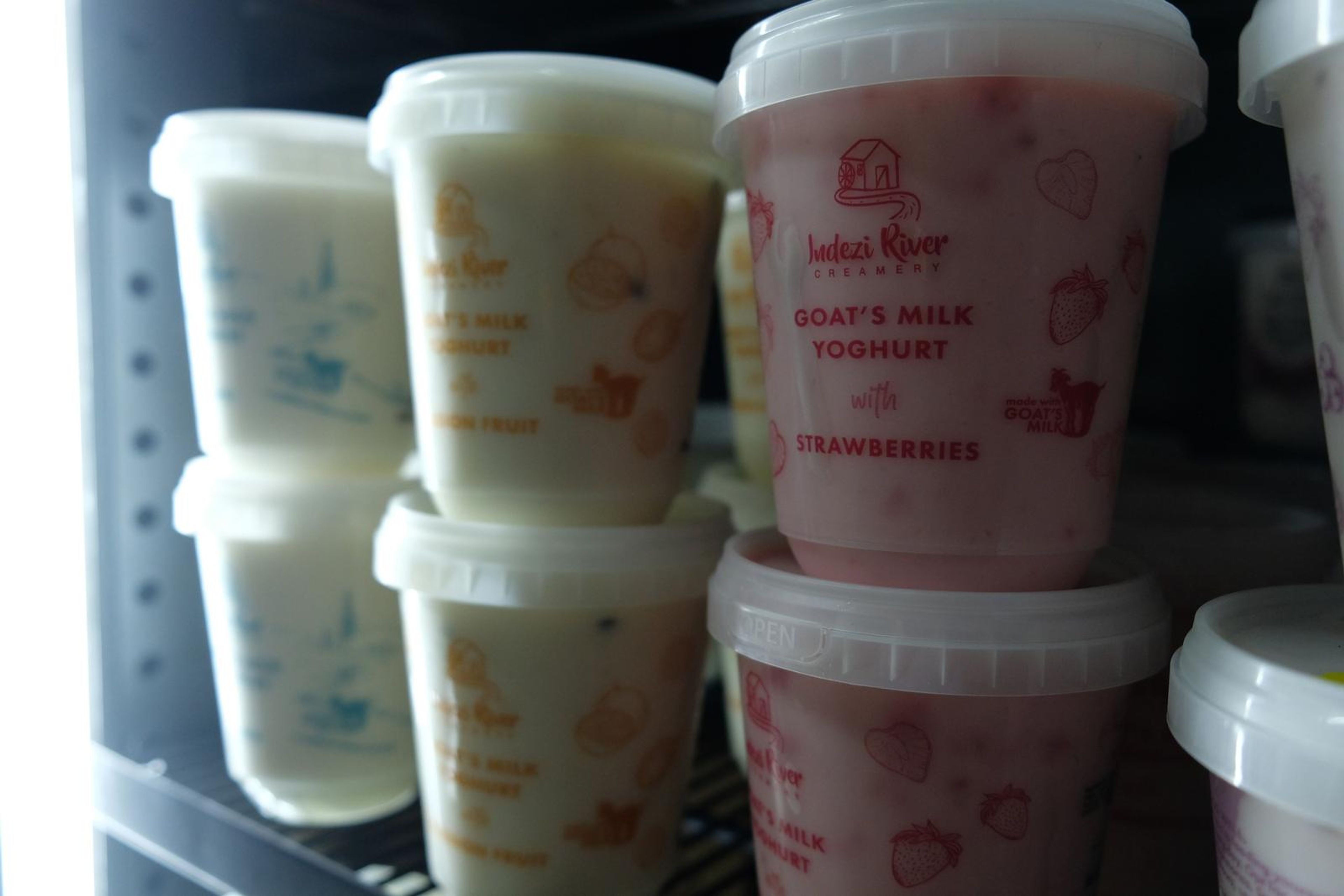 Tubs of goat's milk yoghurt stacked in the fridge