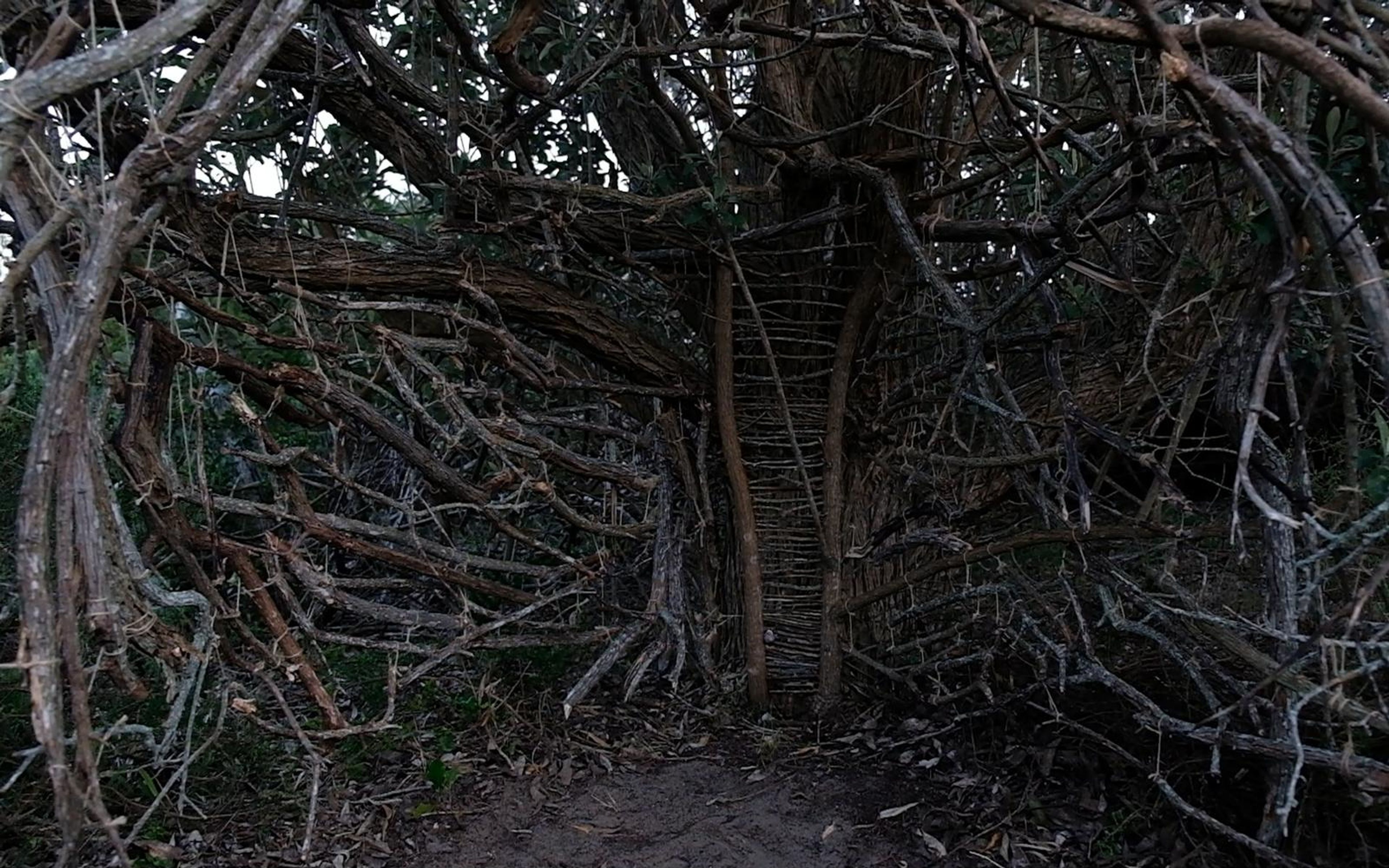 Inside a tangled stick shelter with a woven ladder panel at the back and a sandy floor
