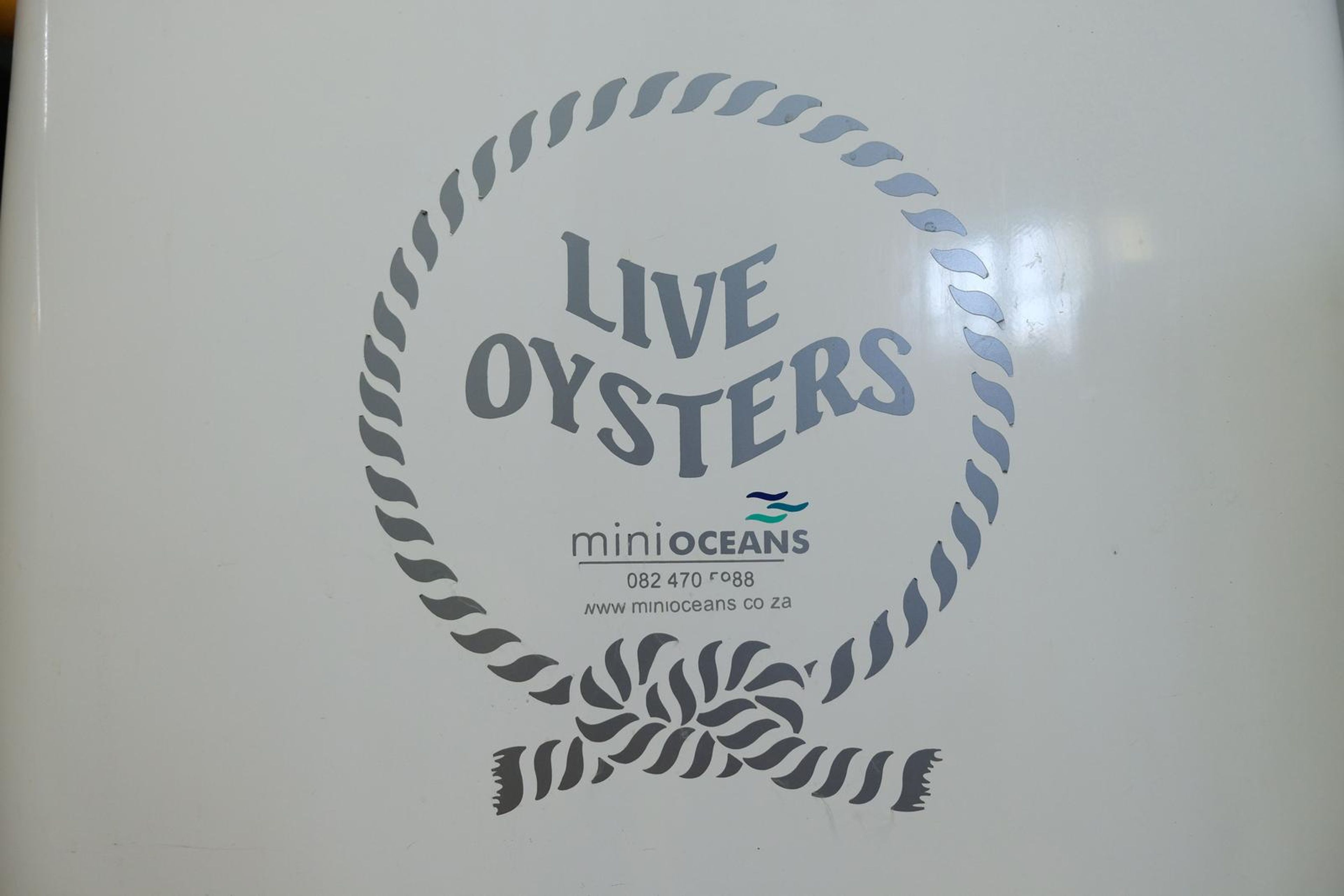 Live Oysters sign from Mini Oceans on the white wall