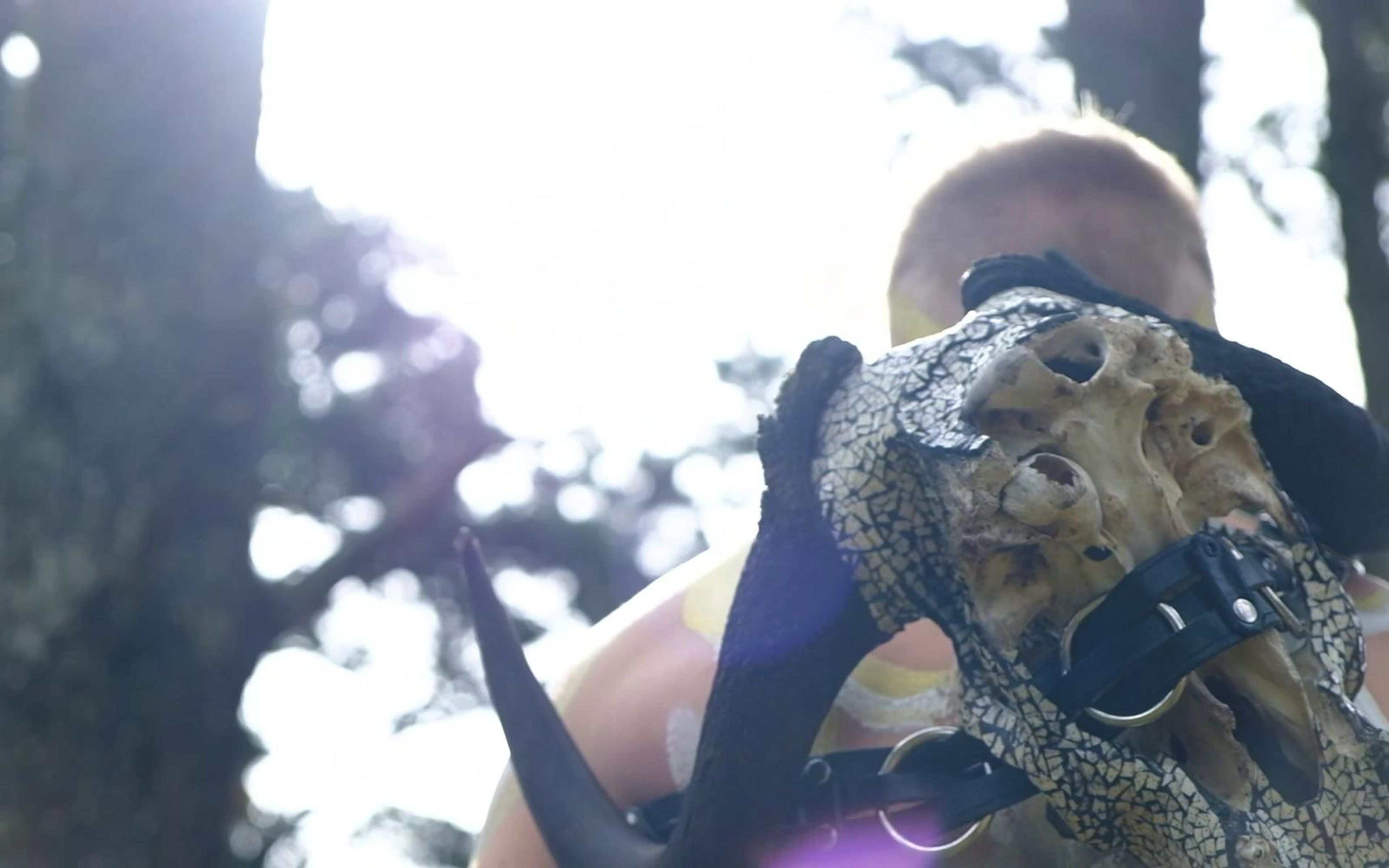 Painted performer lifting a horned bull skull in front of his face among tall trees