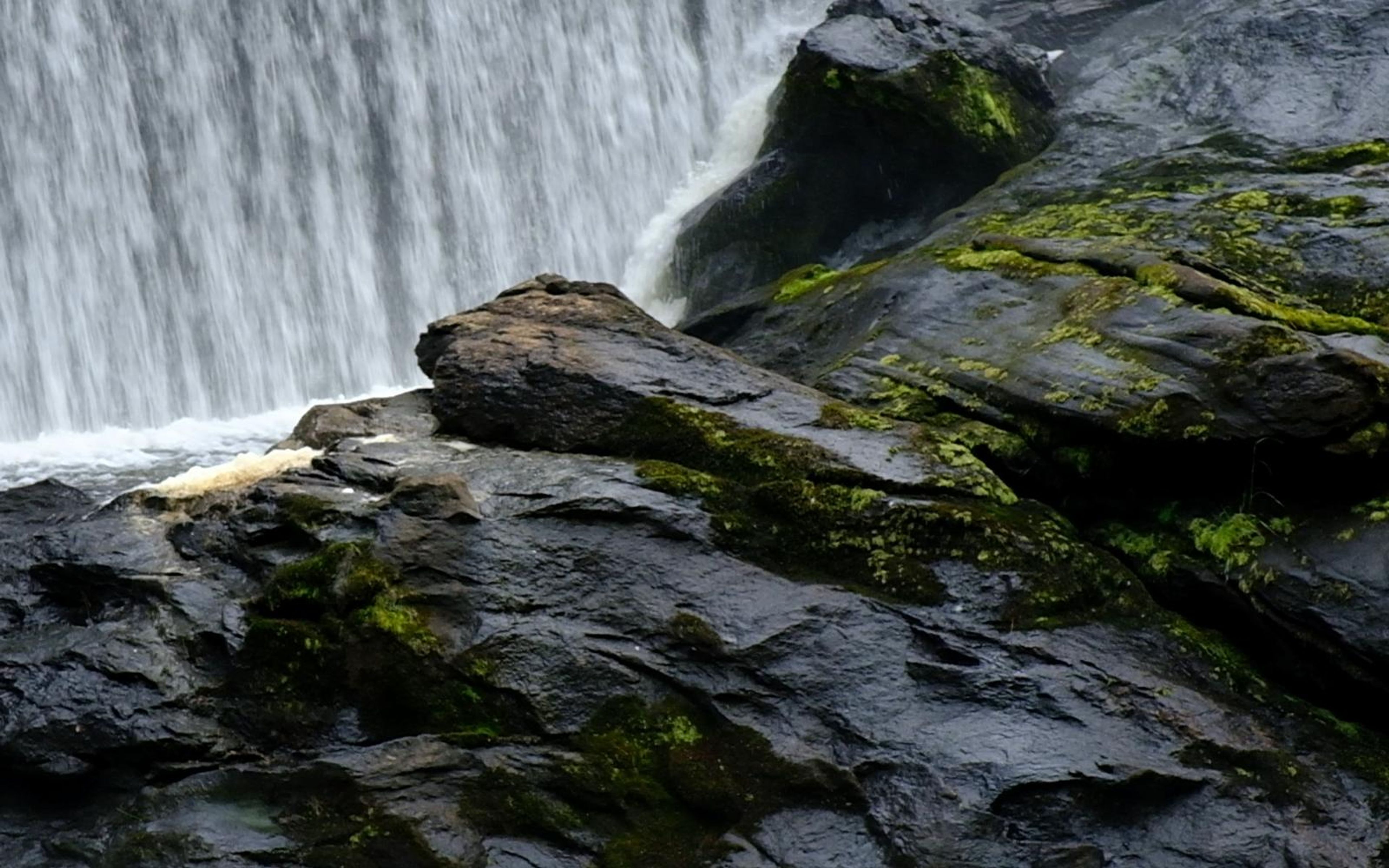Moss-covered dark boulder in front of the falling water curtain