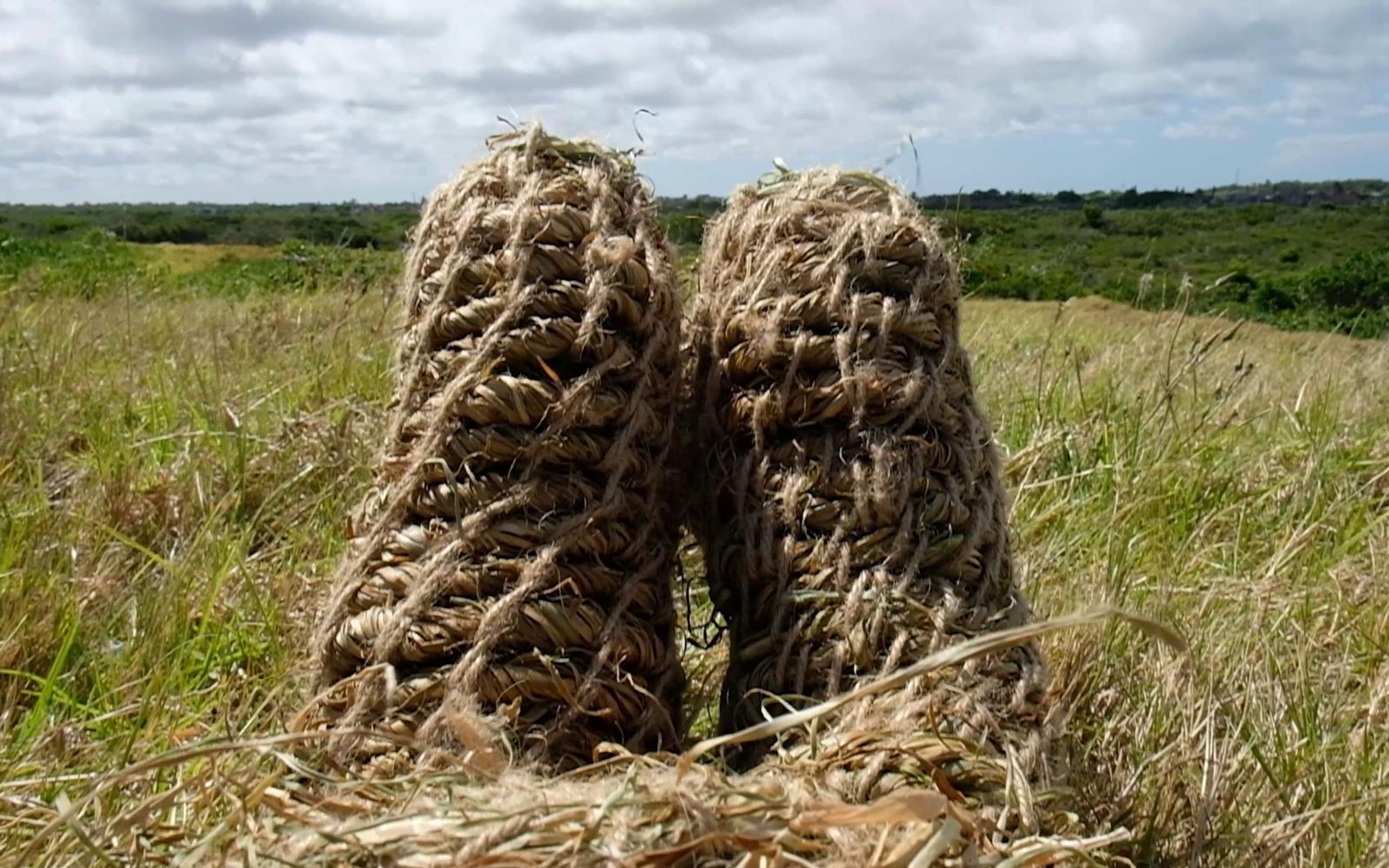 Two upright woven grass legs in a field with green land and cloudy sky behind