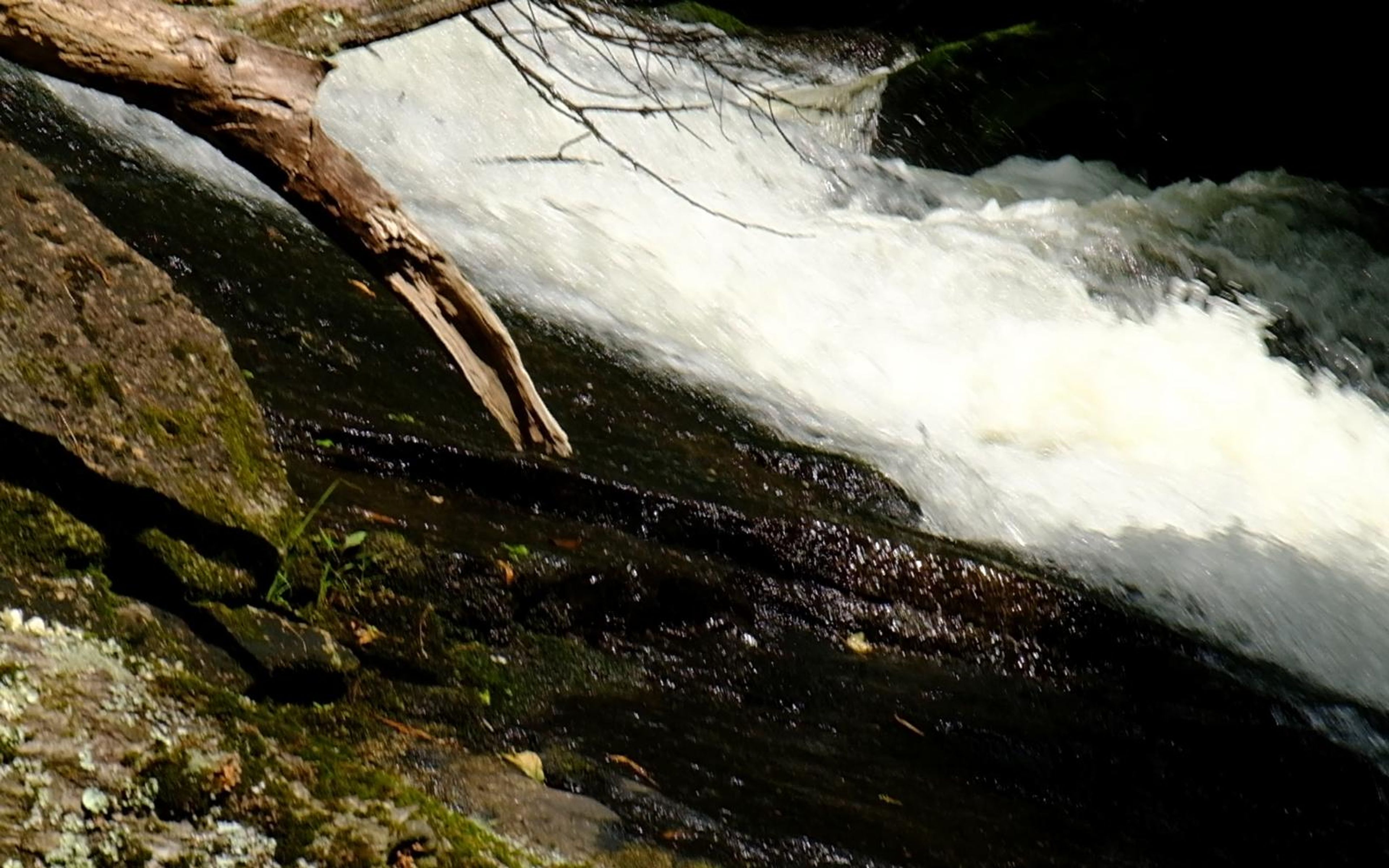 Diagonal run of whitewater over dark rock with a bare branch crossing the top left