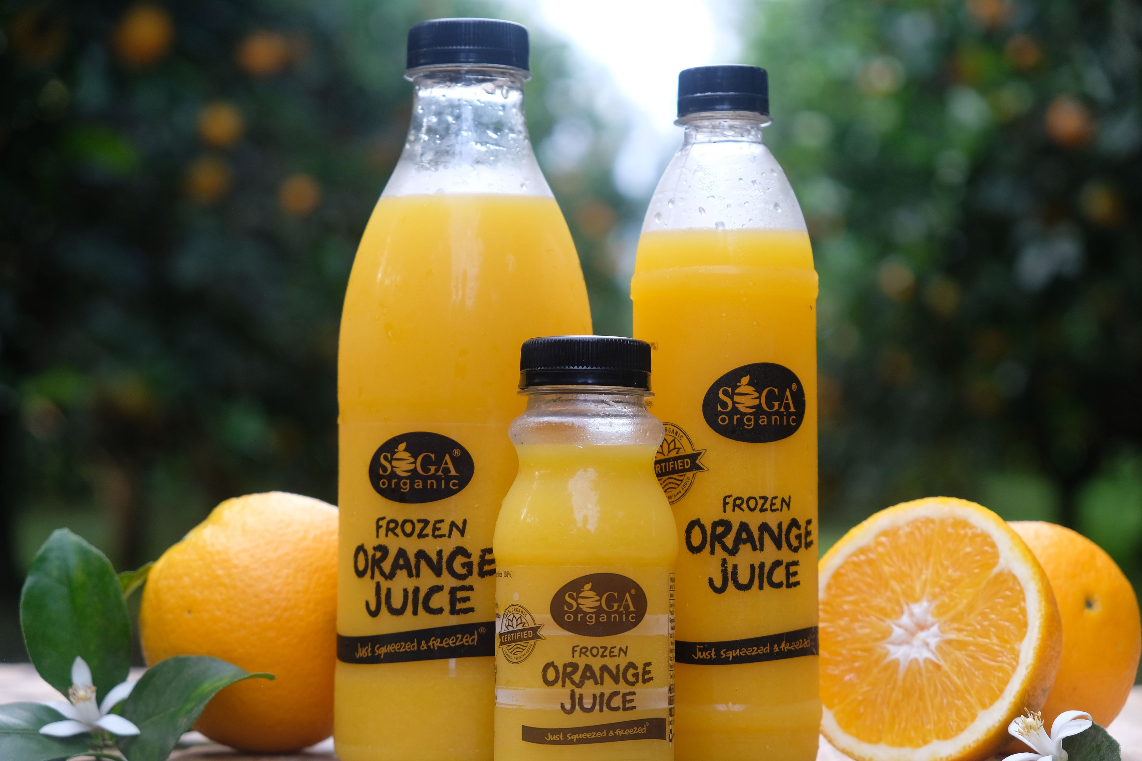 Soga Organic frozen orange juice bottles with orange halves and a blossom in an orchard