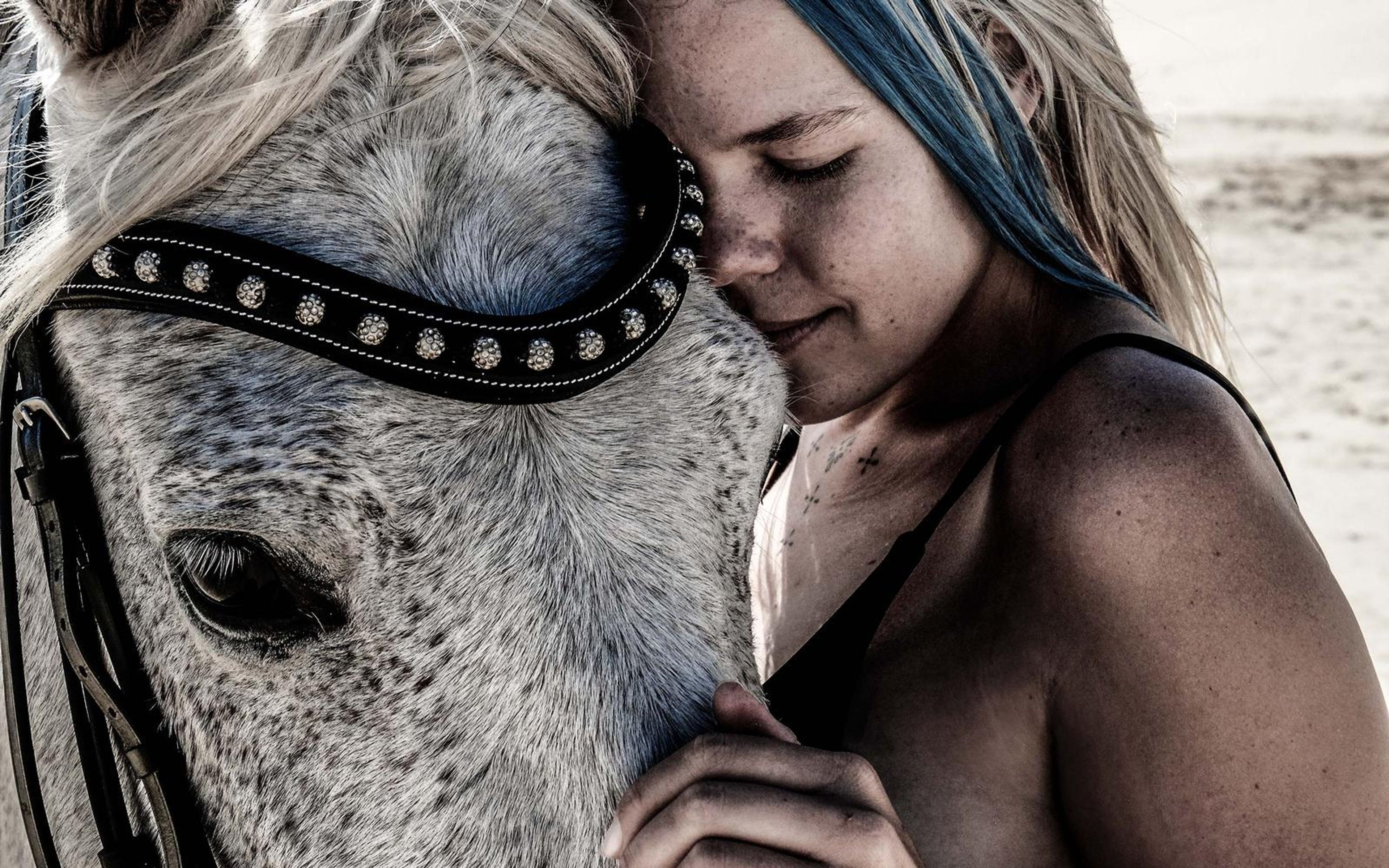 Close embrace between a woman and a grey horse, her cheek against its face with eyes closed and the bridle detail visible
