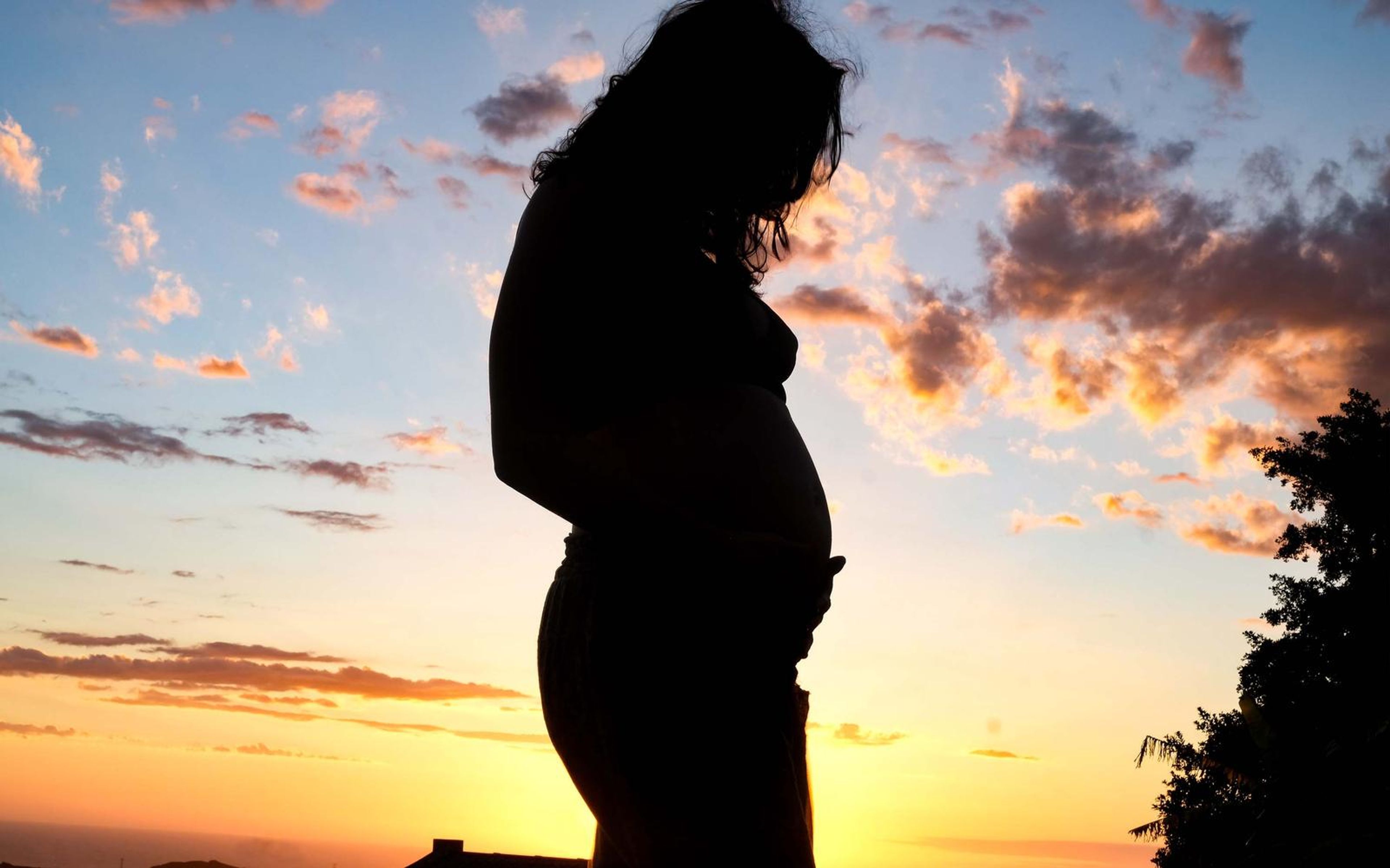 Profile silhouette of a pregnant woman with head slightly lowered, tree edge at right, pink and blue sky