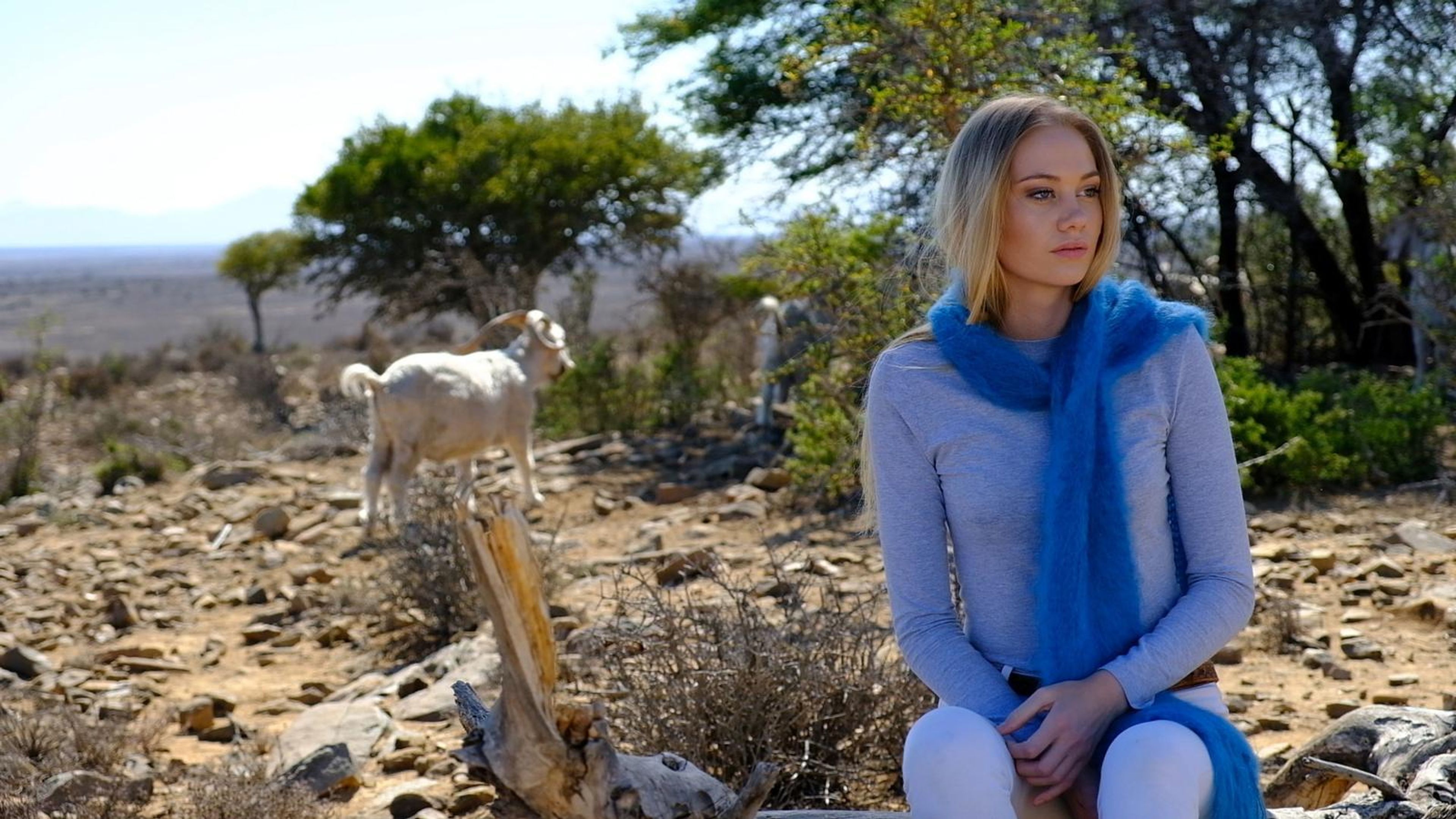 Model seated in a bright blue mohair scarf with a goat behind her