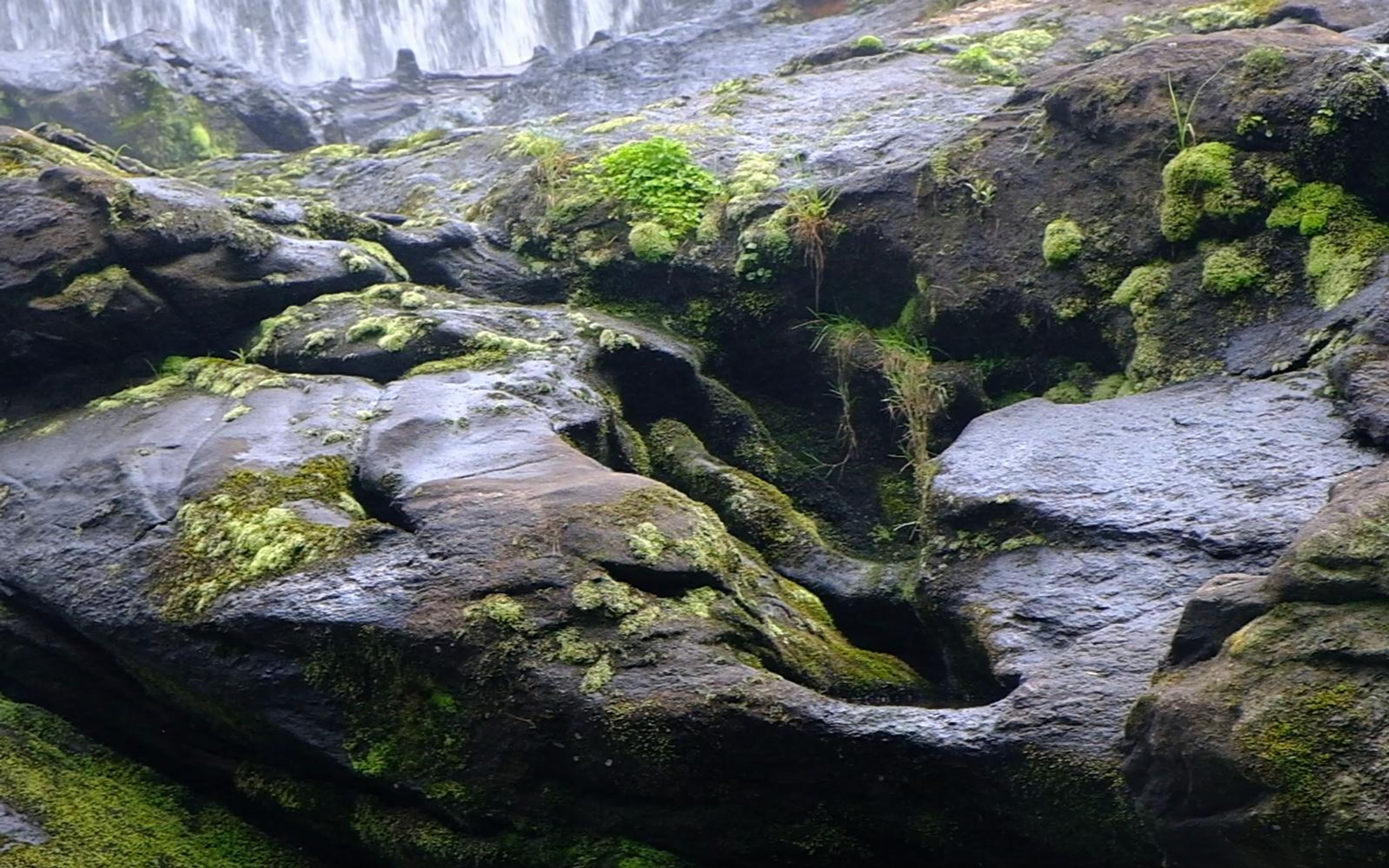 Wet dark rock formations with bright green moss and small pools