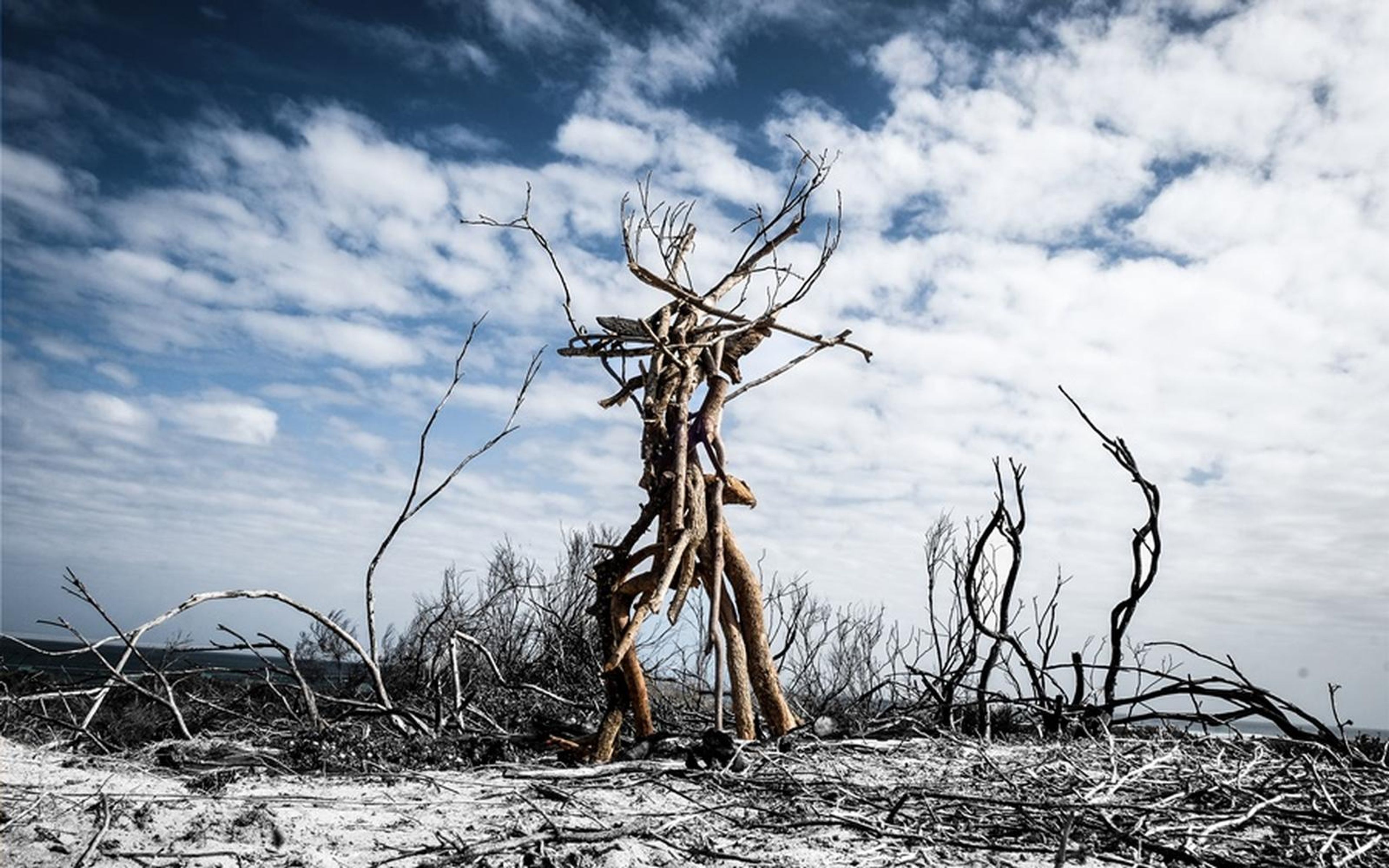 Upright tangle of bleached branches shaped like a standing figure on pale burnt ground under a blue sky with clouds
