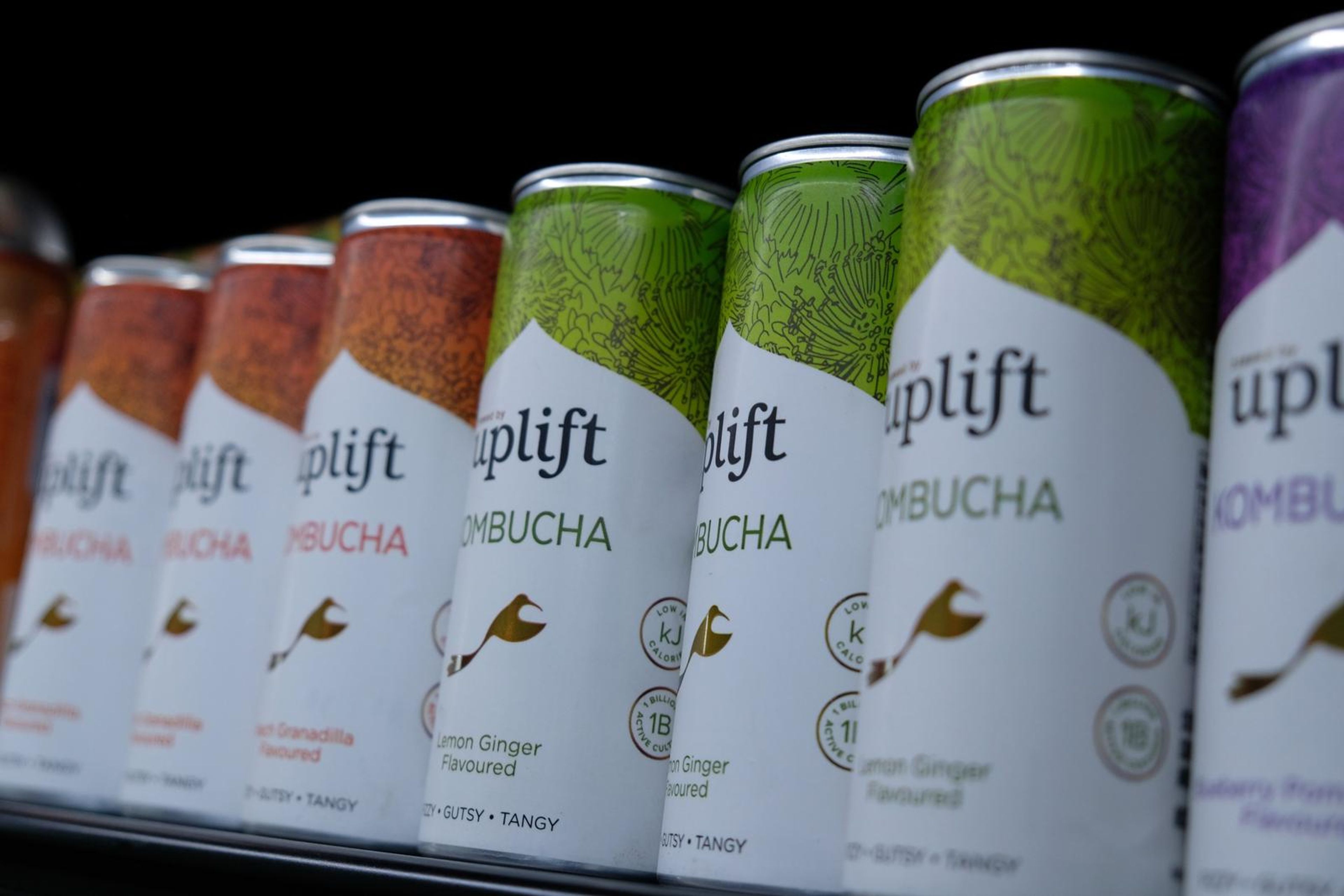 Close-up of Uplift kombucha cans in lemon ginger and other flavours
