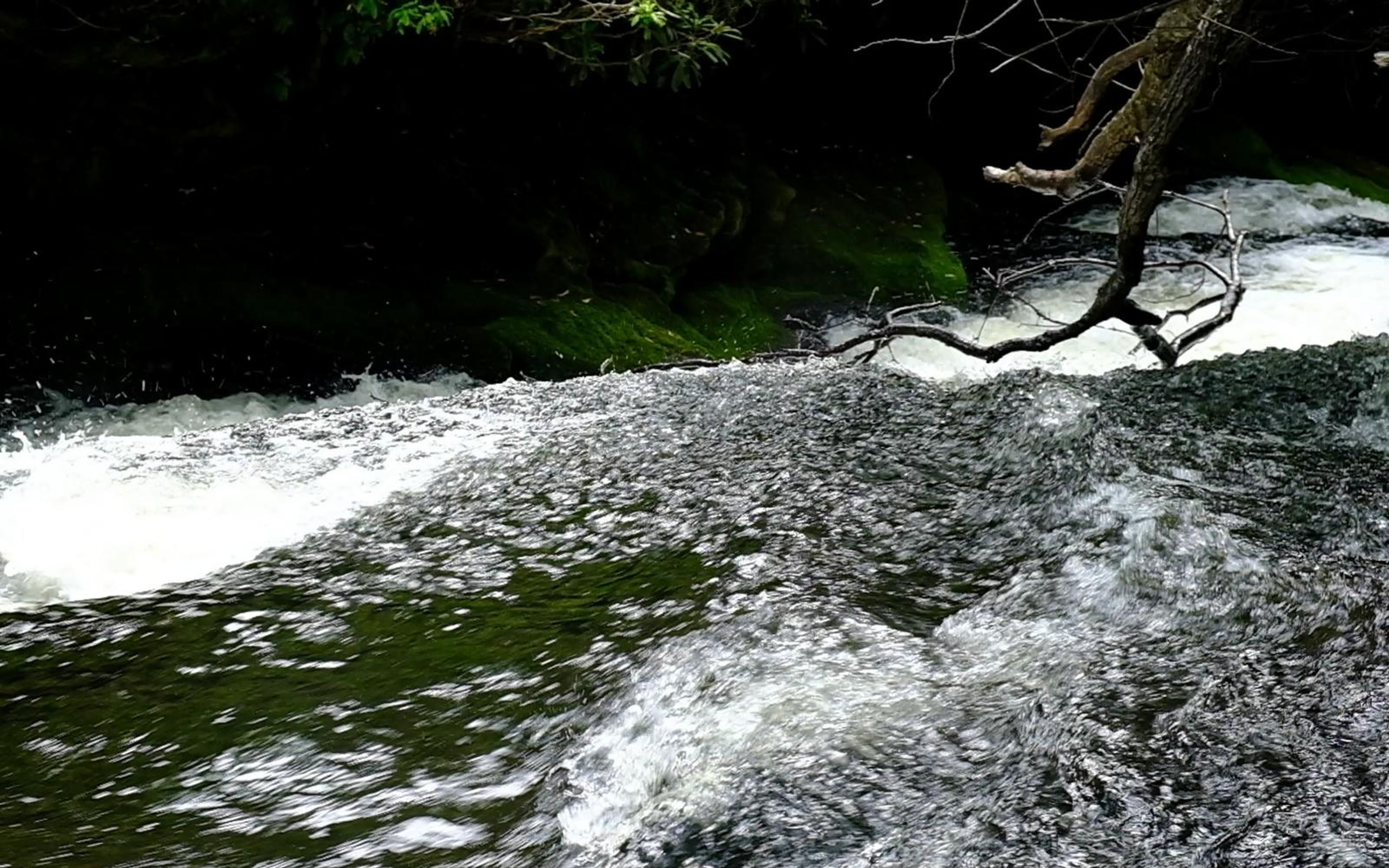 Water rushing over a ledge with a fallen branch hanging across the dark bank
