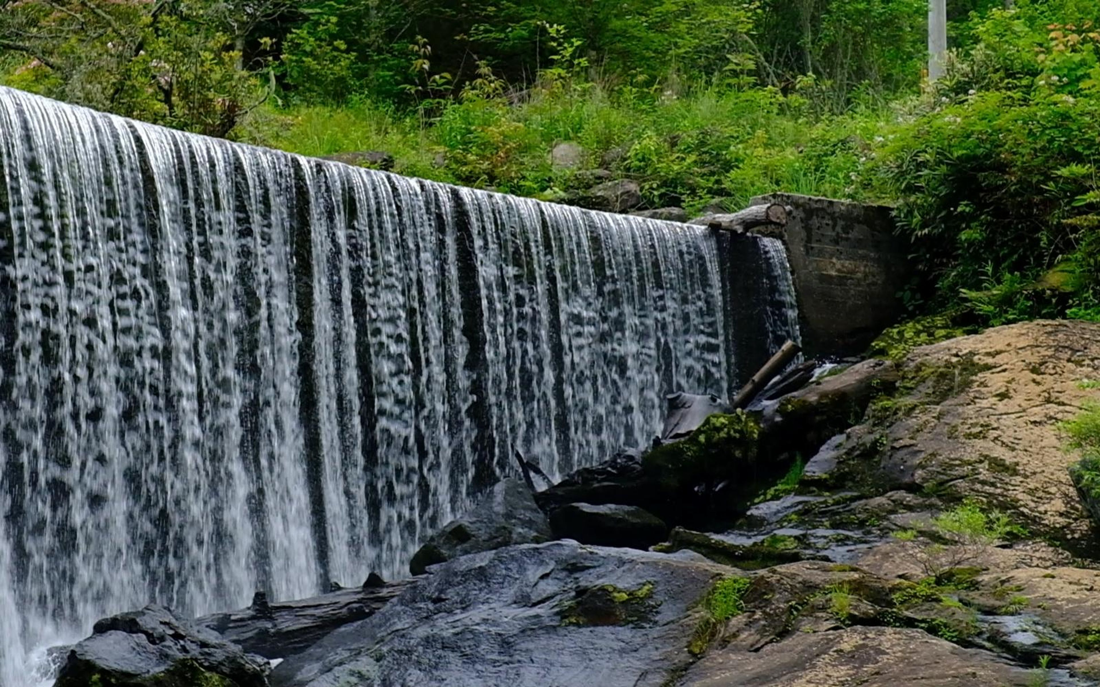 Waterfall running off to the right along the bank with green plants and a rocky shore