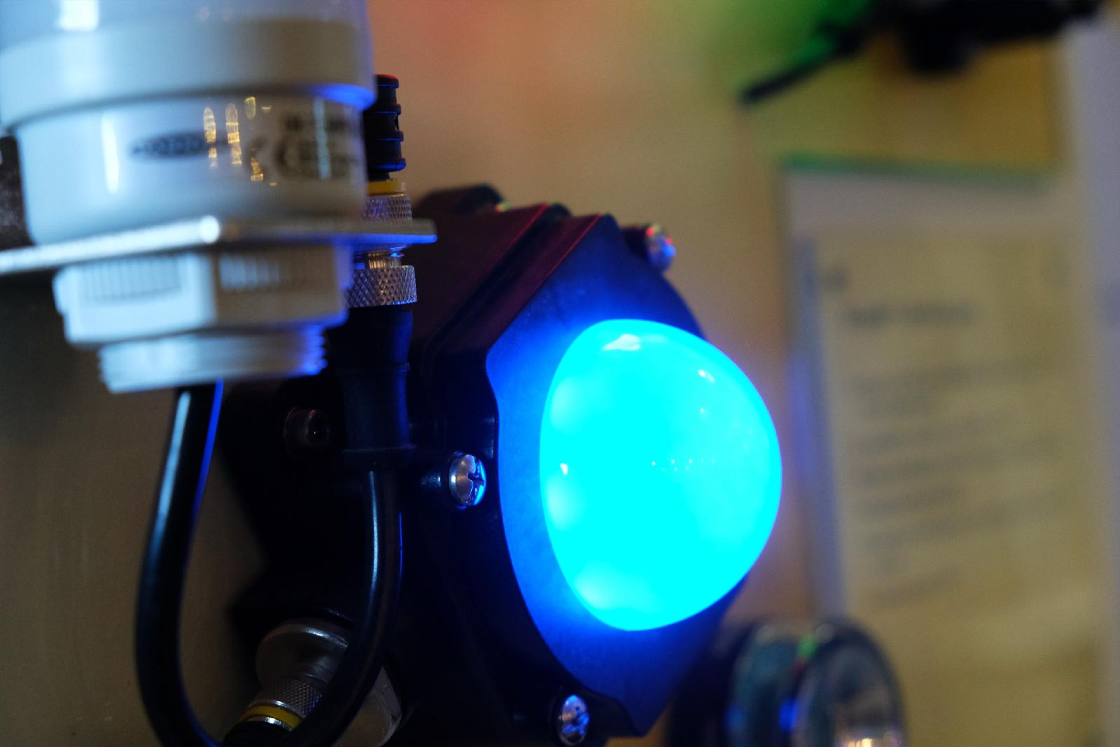 Blue indicator light on a Turck panel