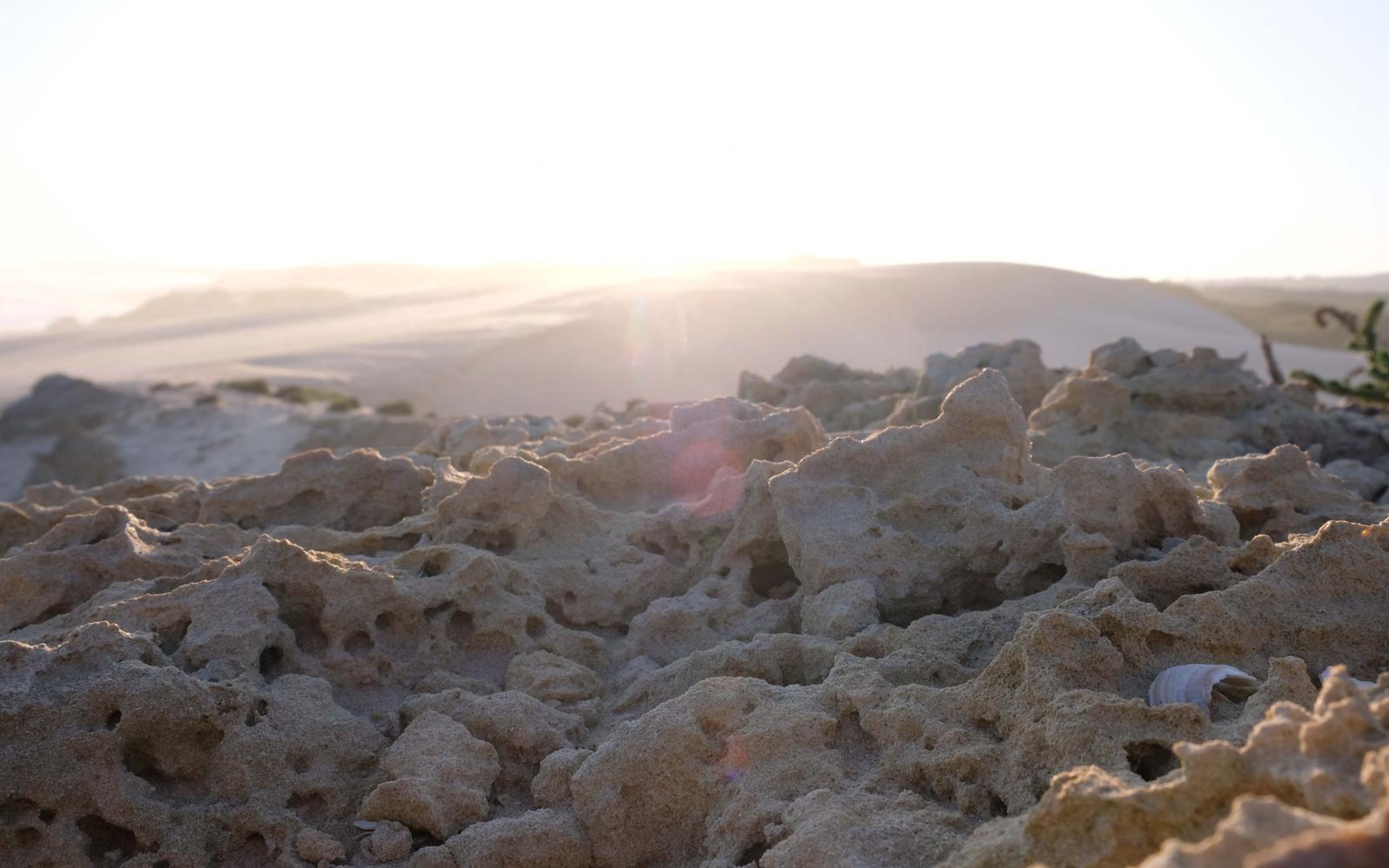 Rocky coastal ground in the foreground with bright low sun over distant dunes