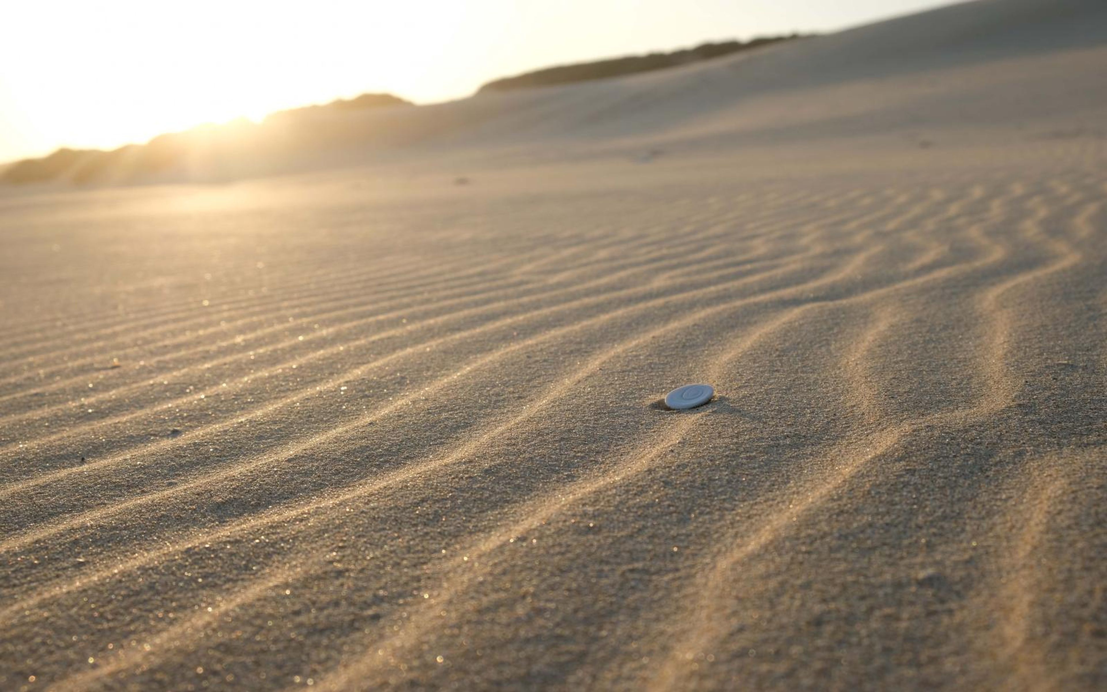 Wide view of rippled sand with a single small white shell and the sun on the dune horizon