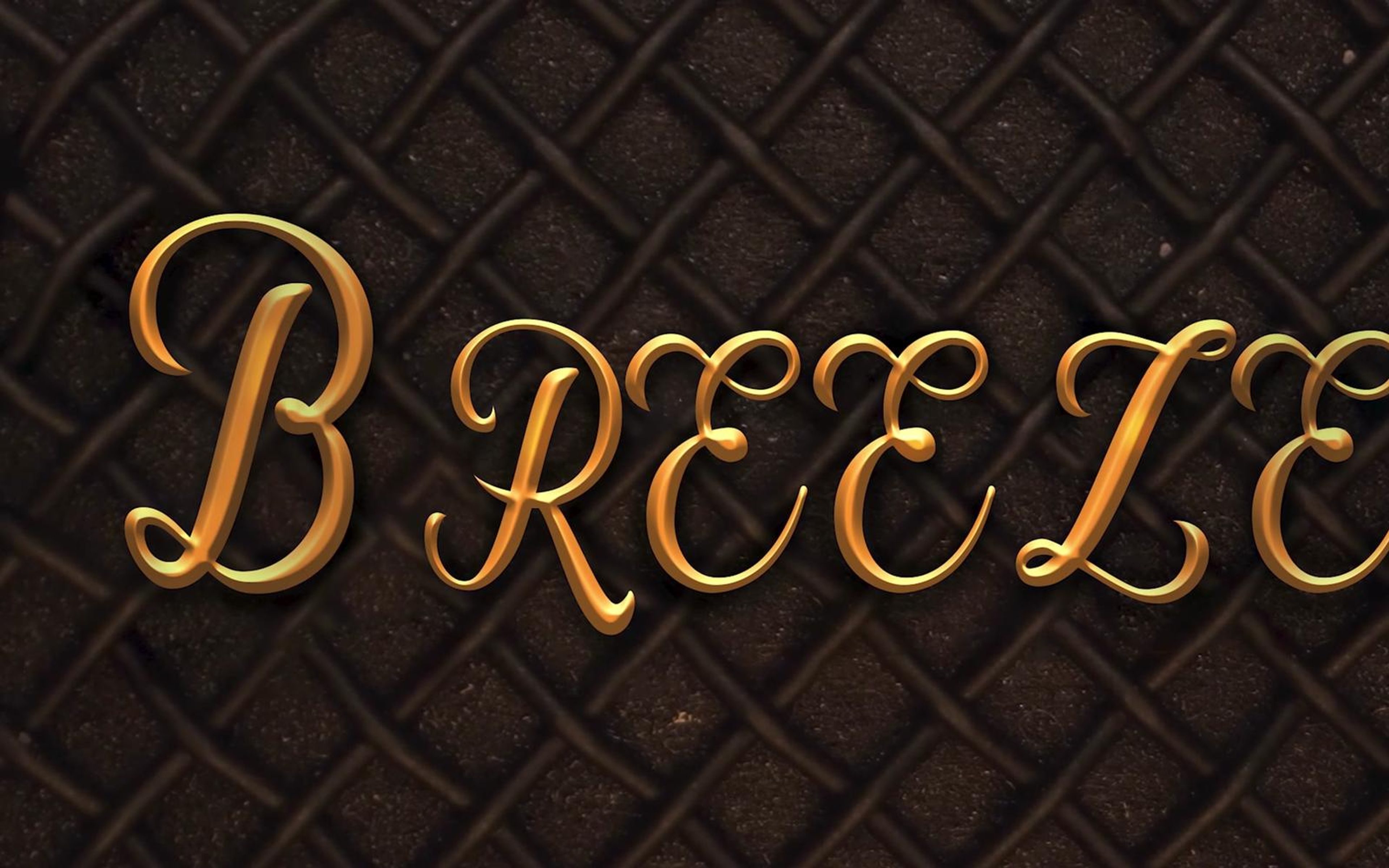 Gold script lettering spelling Breeze on dark woven amplifier grille cloth
