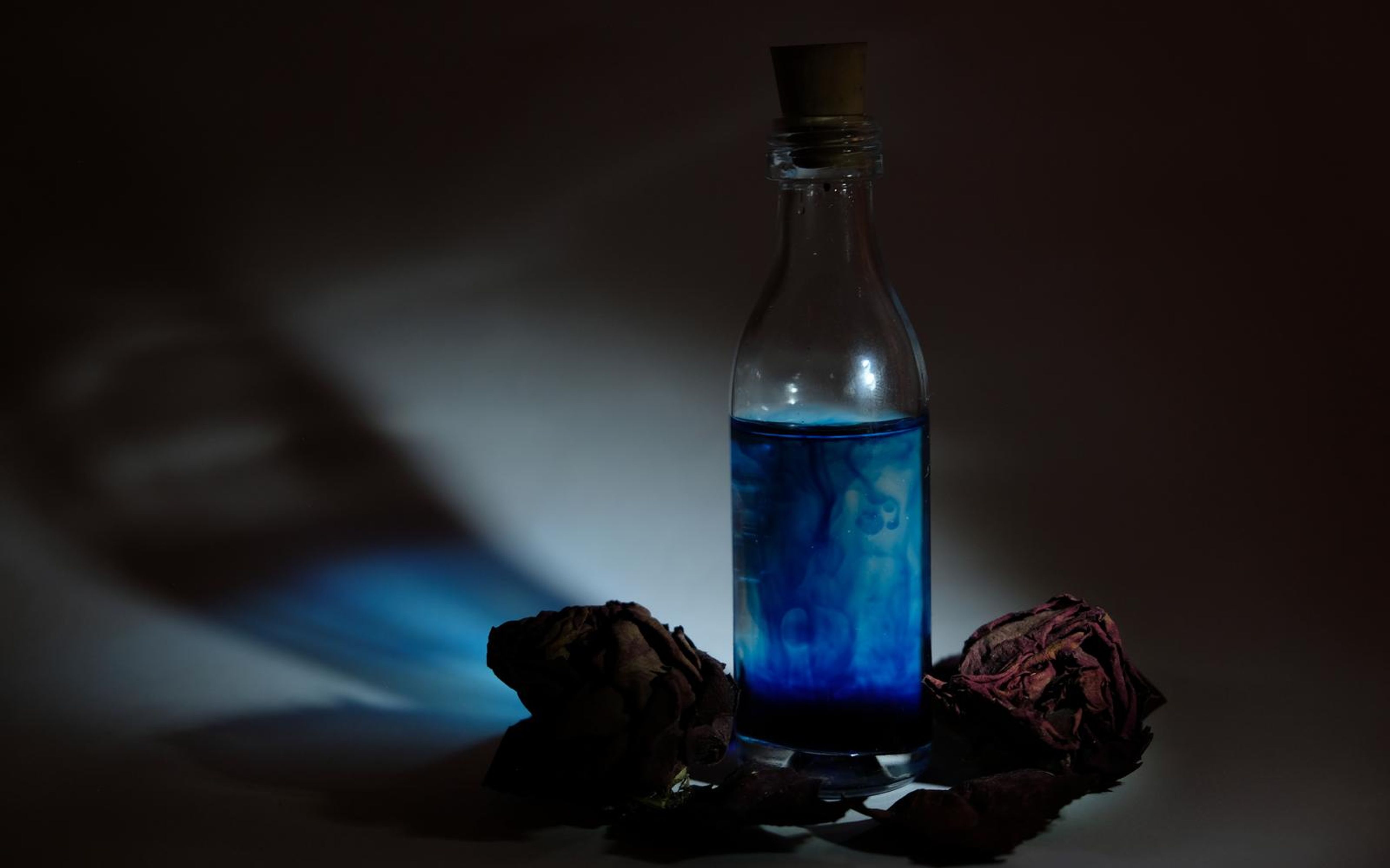 Bottle of blue liquid beside dried roses with a long diagonal shadow and blue light spill across the backdrop
