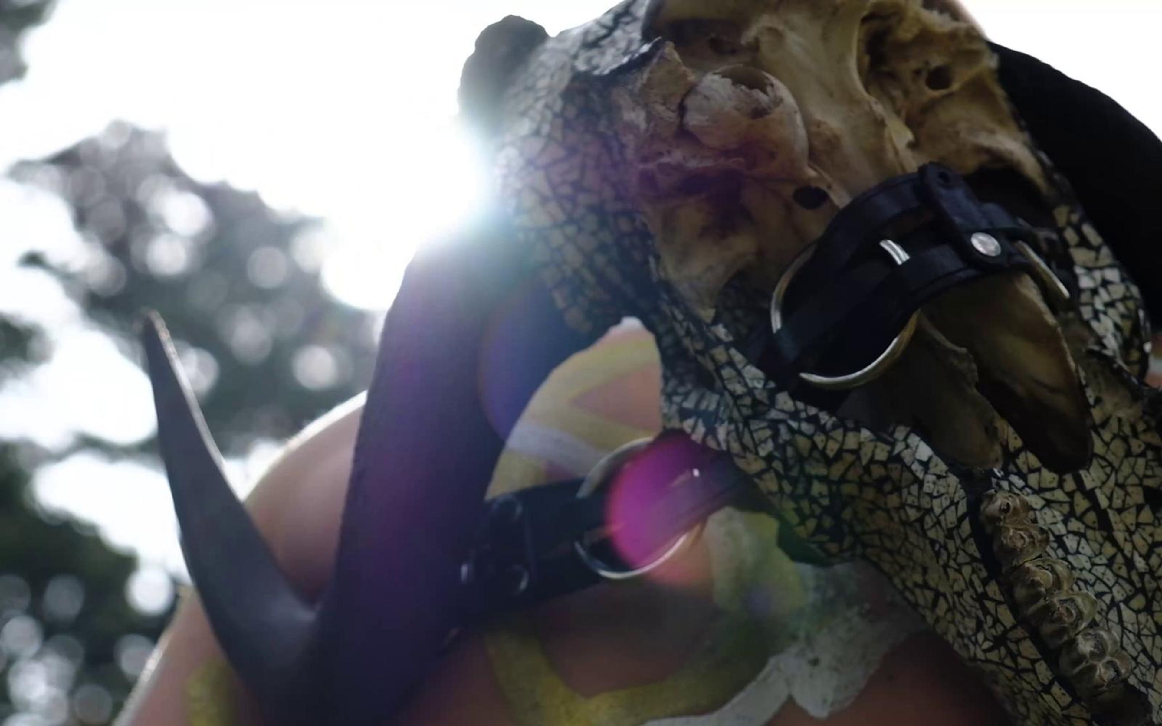 Performer pressing the skull to his face with sunlight flaring through the horn tips