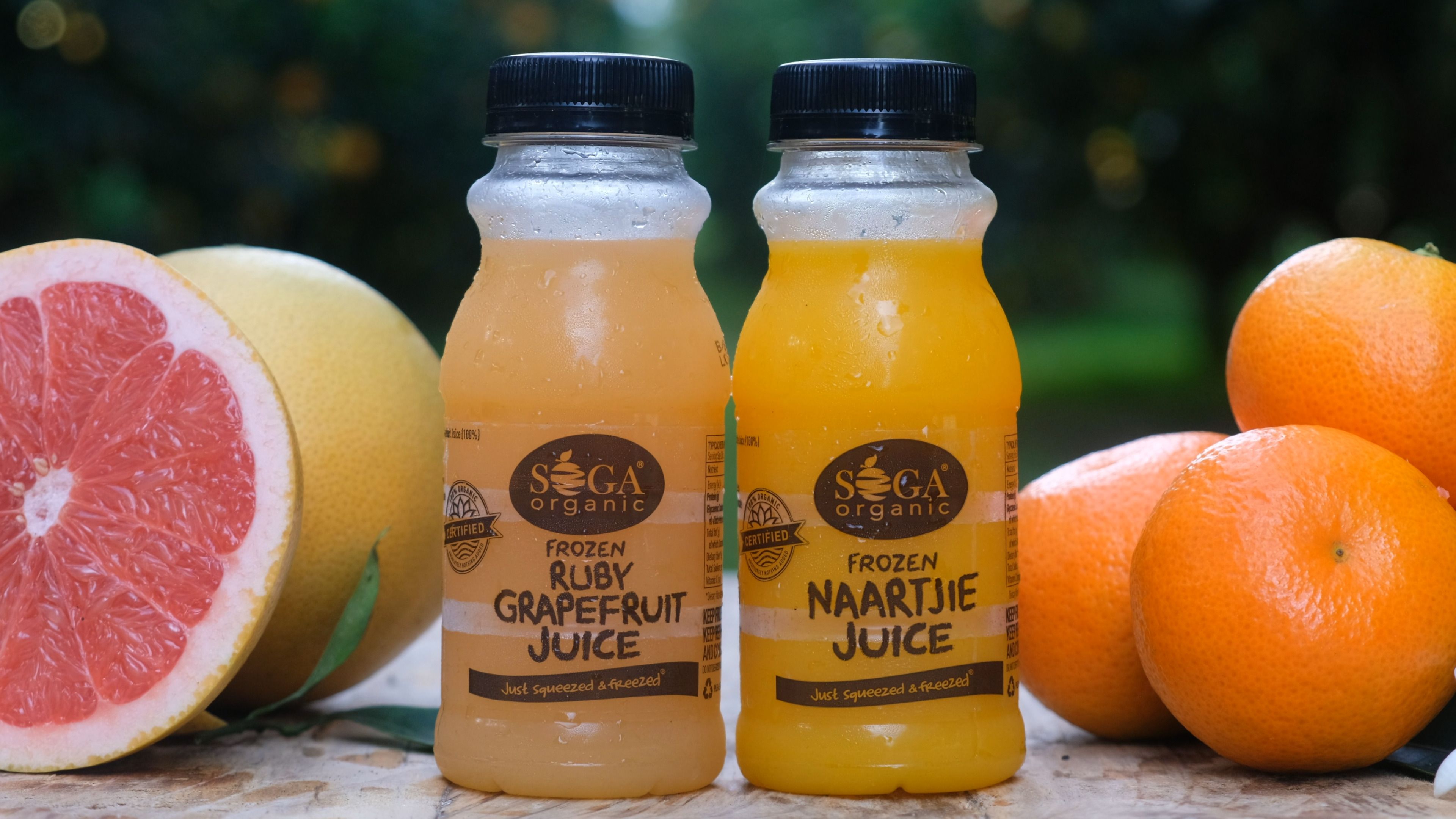 Soga Organic ruby grapefruit and naartjie juice bottles in an orchard