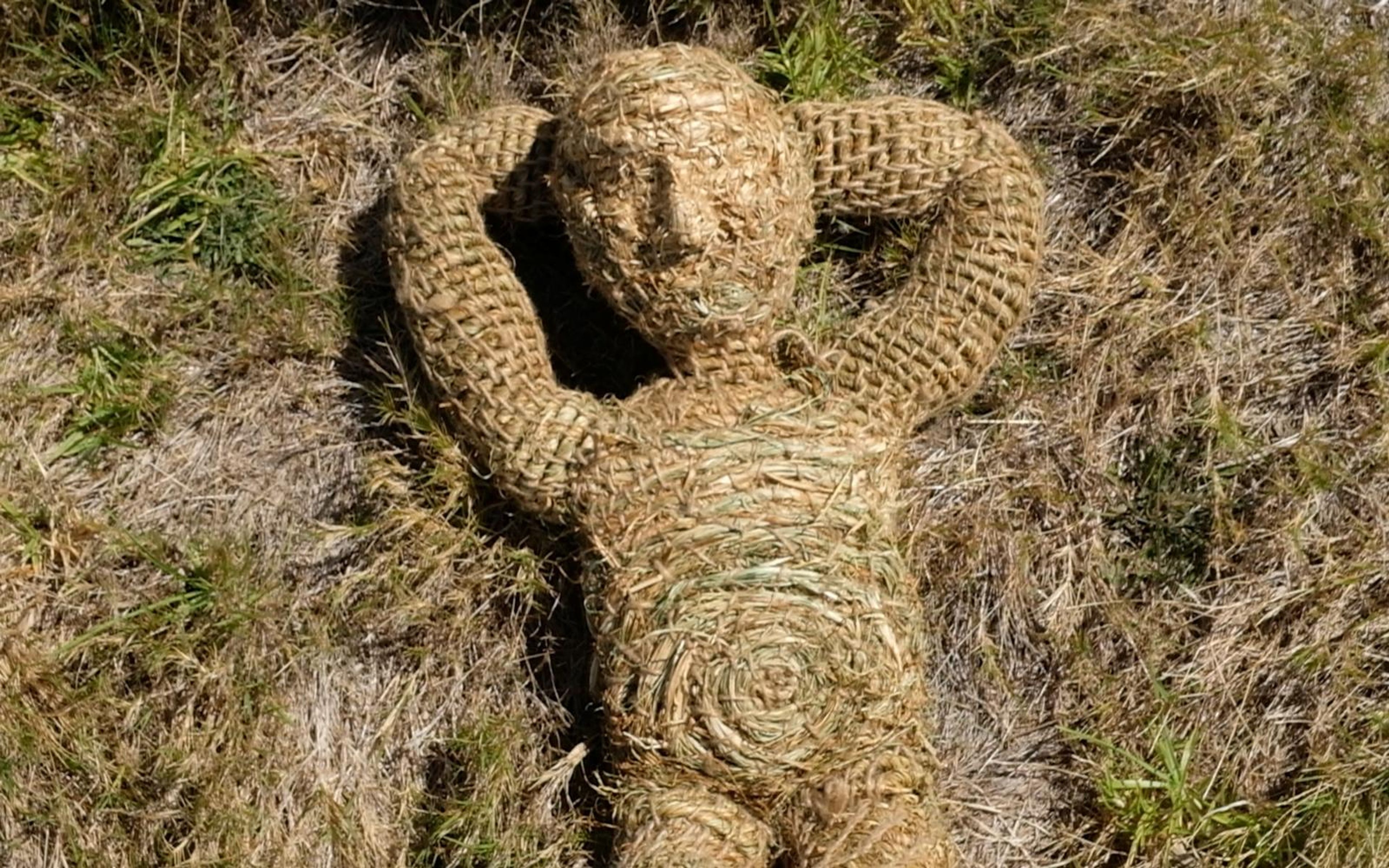 Woven grass figure lying on its back among dry grass with arms behind its head, seen from above