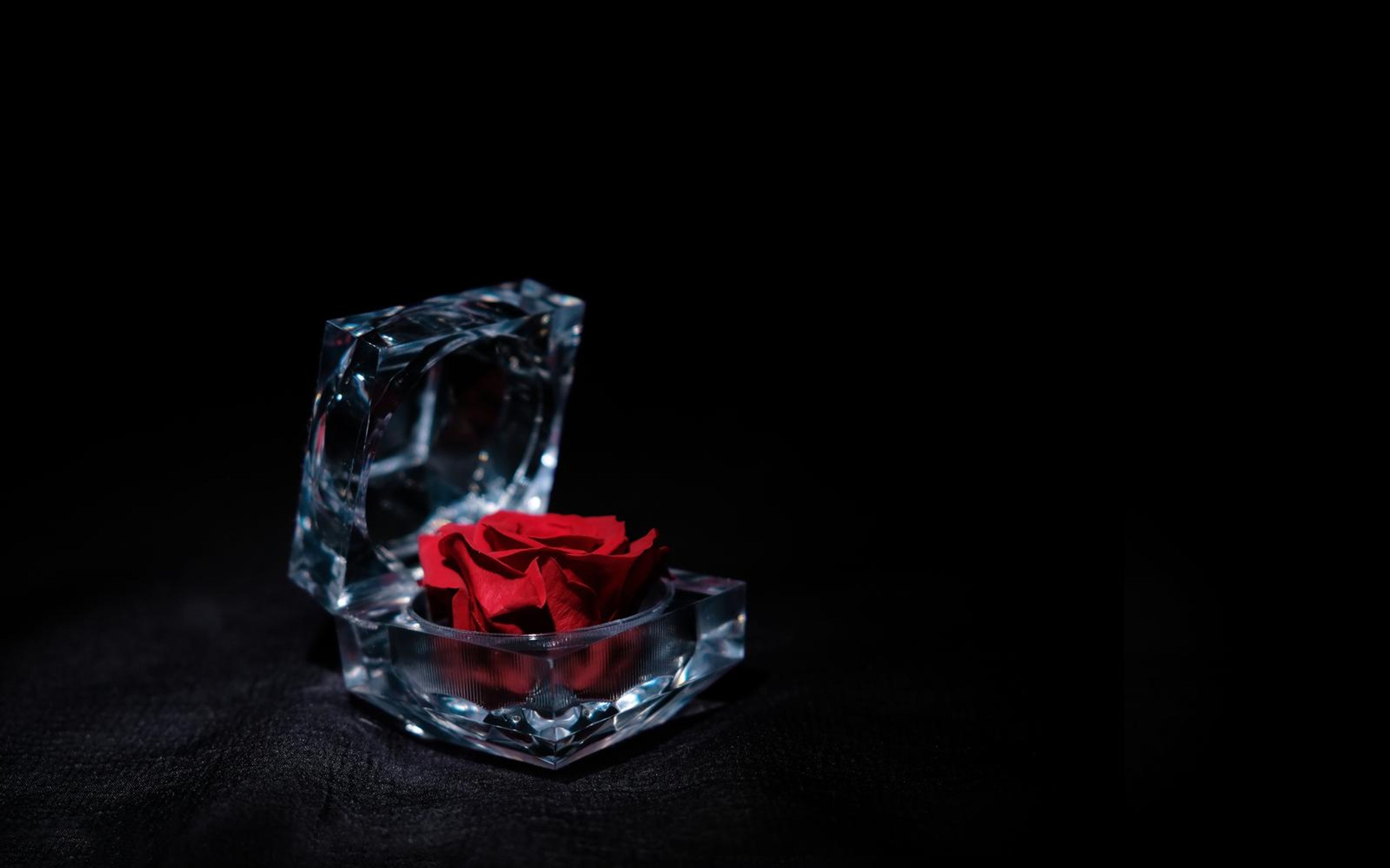 Rose case seen from a low angle with the clear facets tinted icy blue on dark fabric