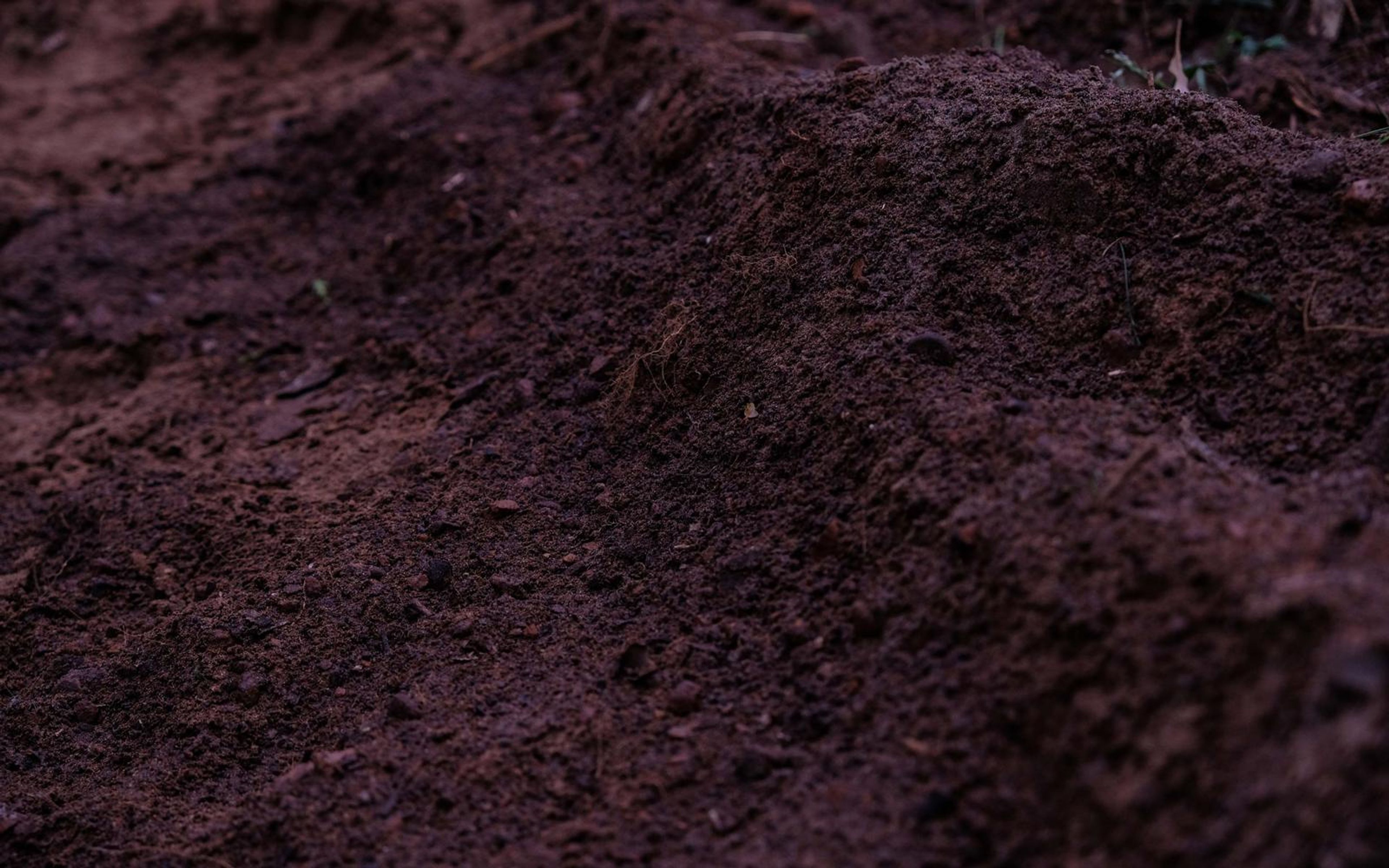 Mounded red earth with a dark curved ridge across the frame