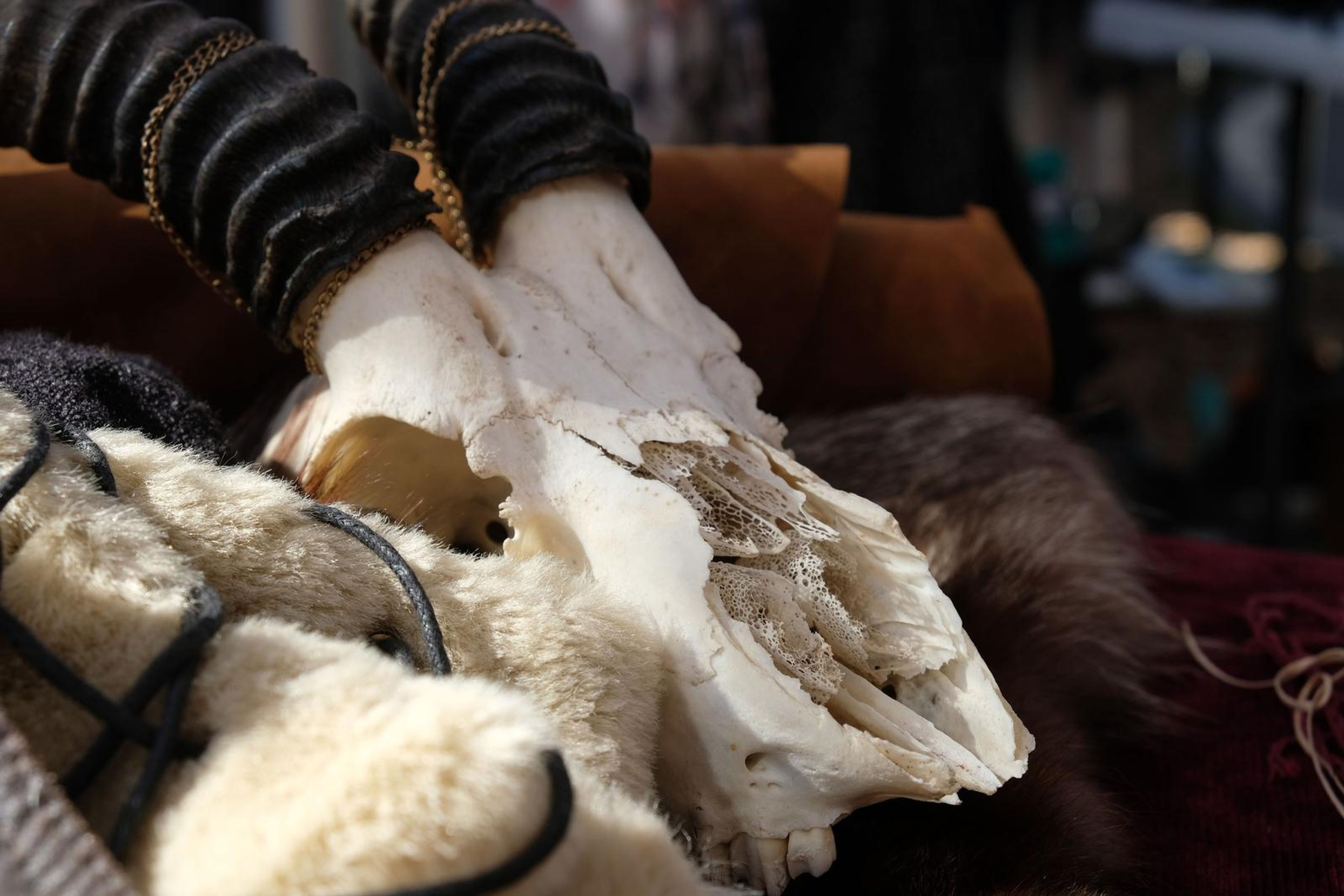 Animal skull with horns resting on fur and leather at the Juuks stall
