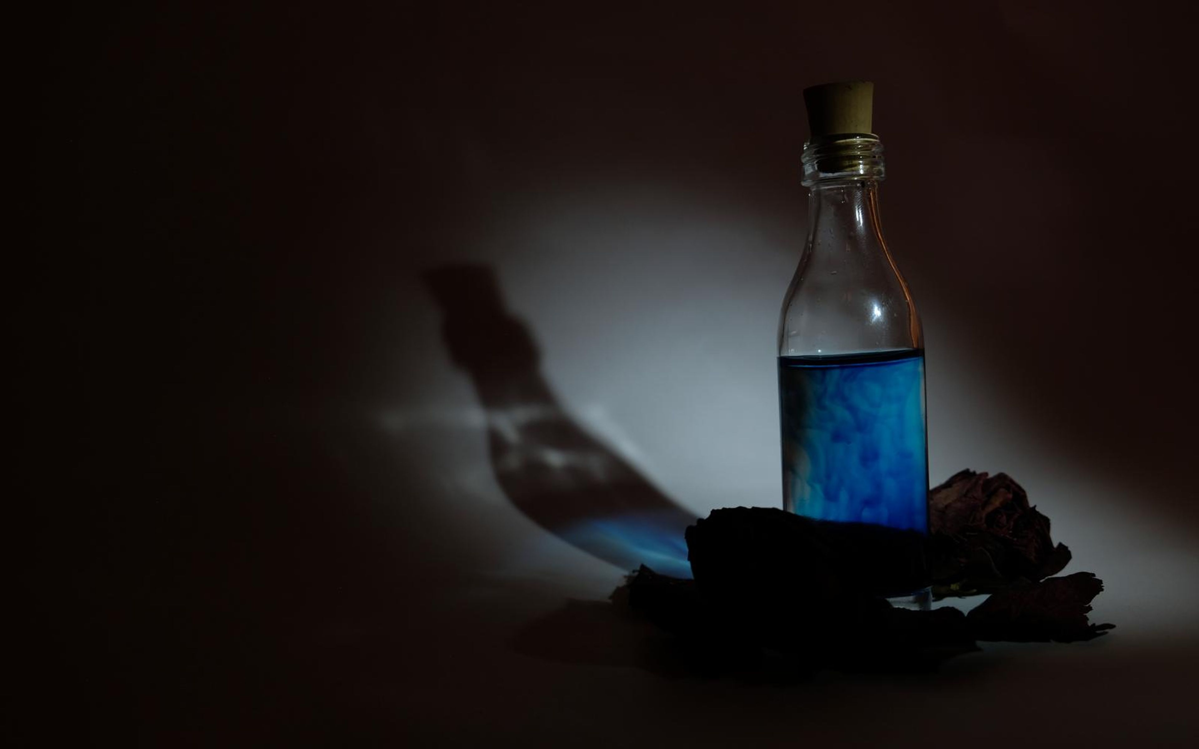 Corked blue bottle partly behind dried roses, throwing a bottle-shaped shadow on a lit backdrop
