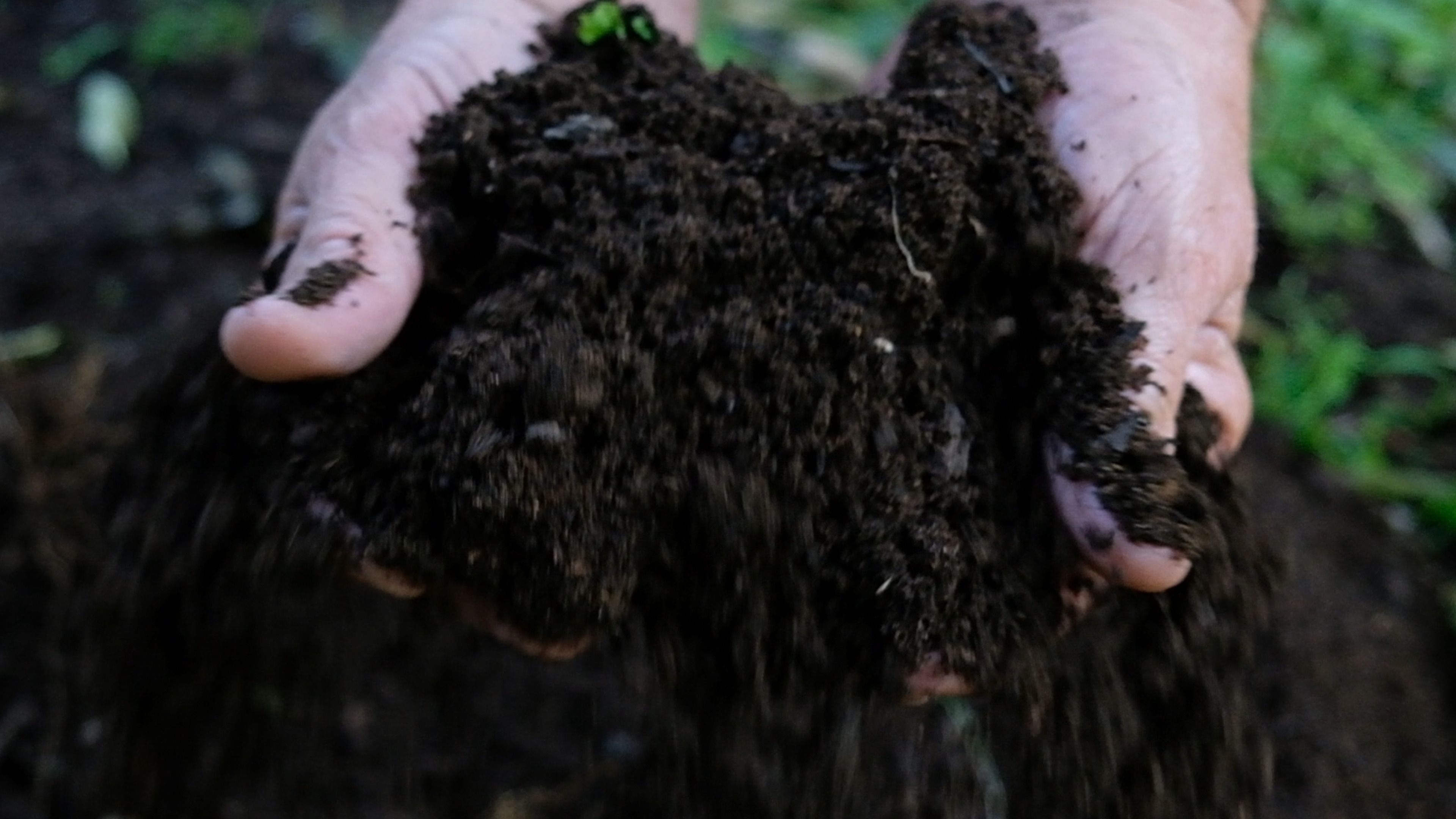 Hands holding a handful of crumbly dark compost