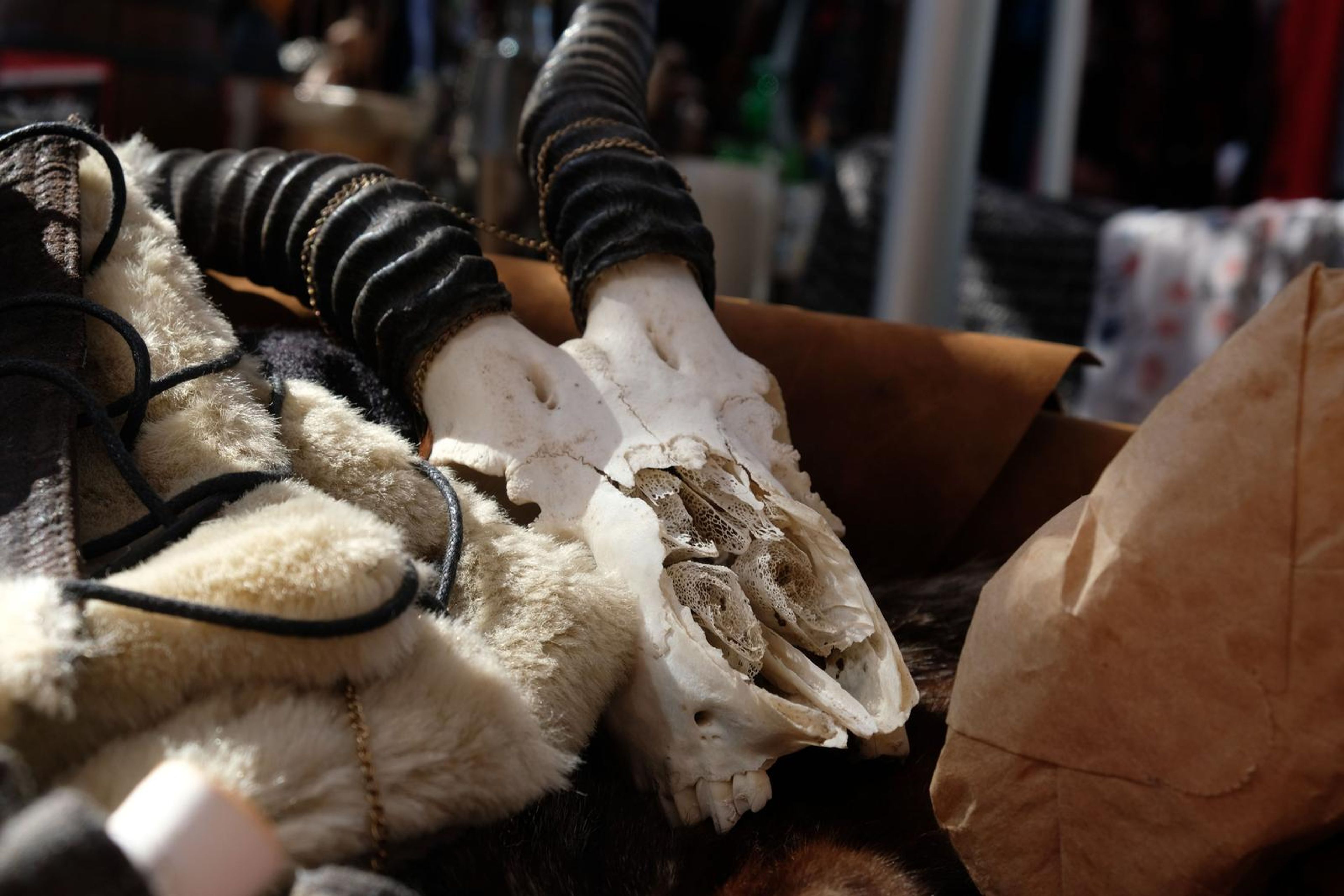 Animal skull with horns resting on fur and leather at the Juuks stall