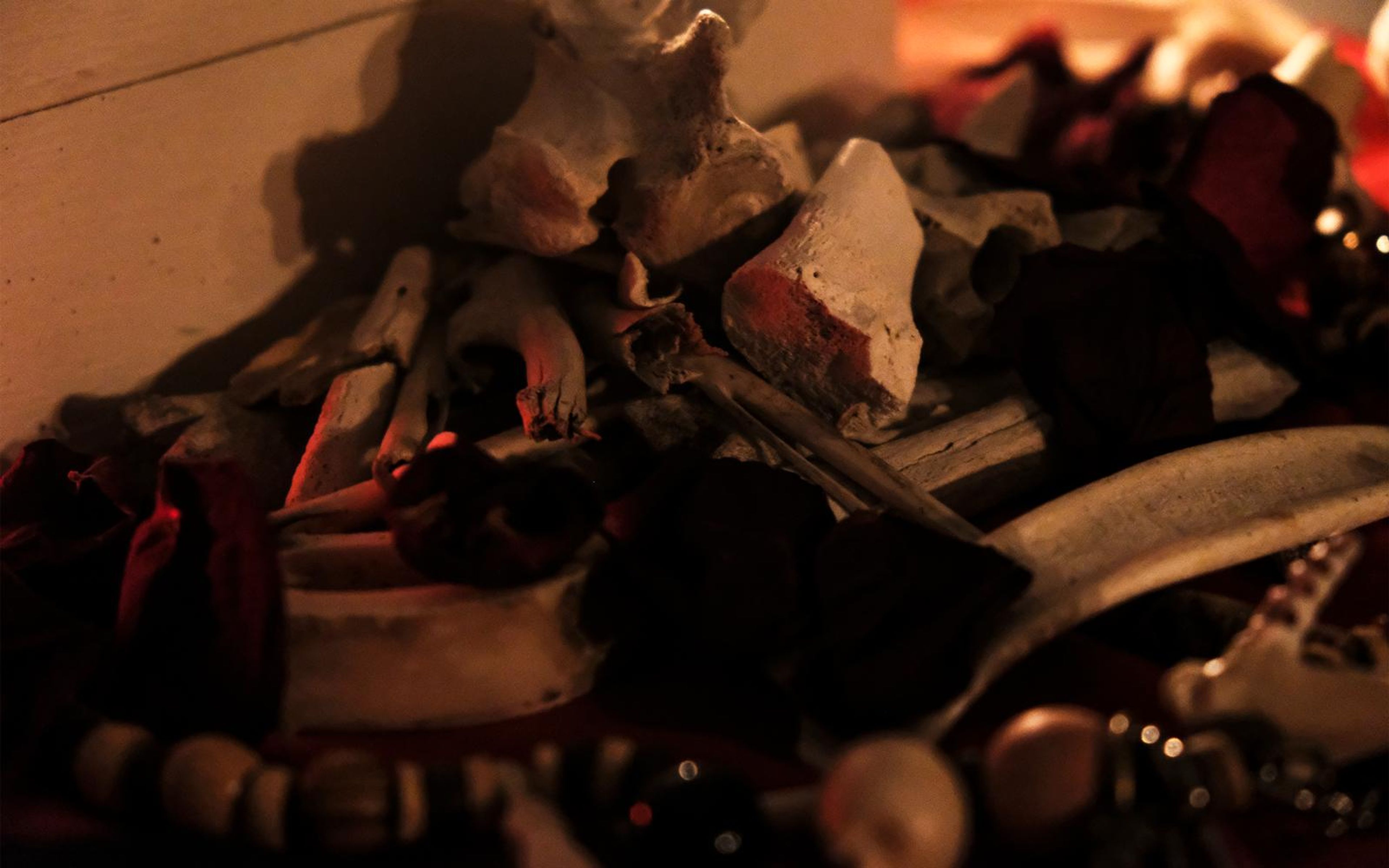 Pile of bones, beads, dried petals and a pale box on red cloth, shallow depth of field